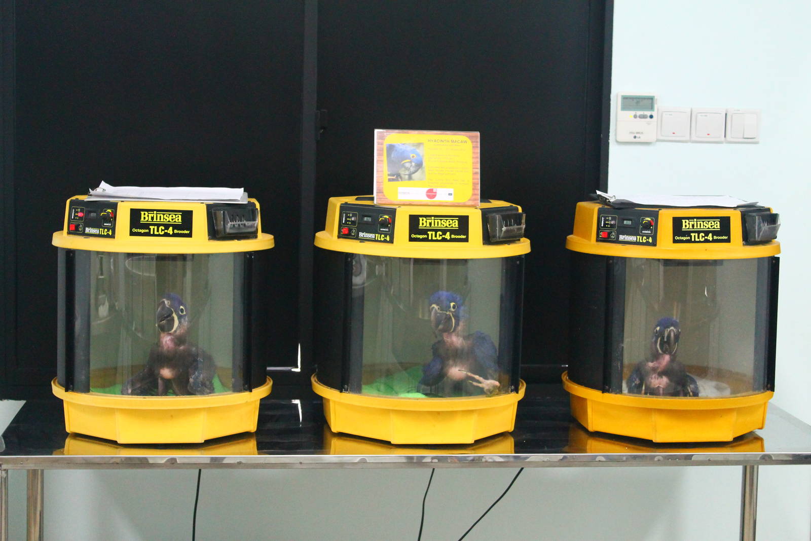 Breeding and Research Centre