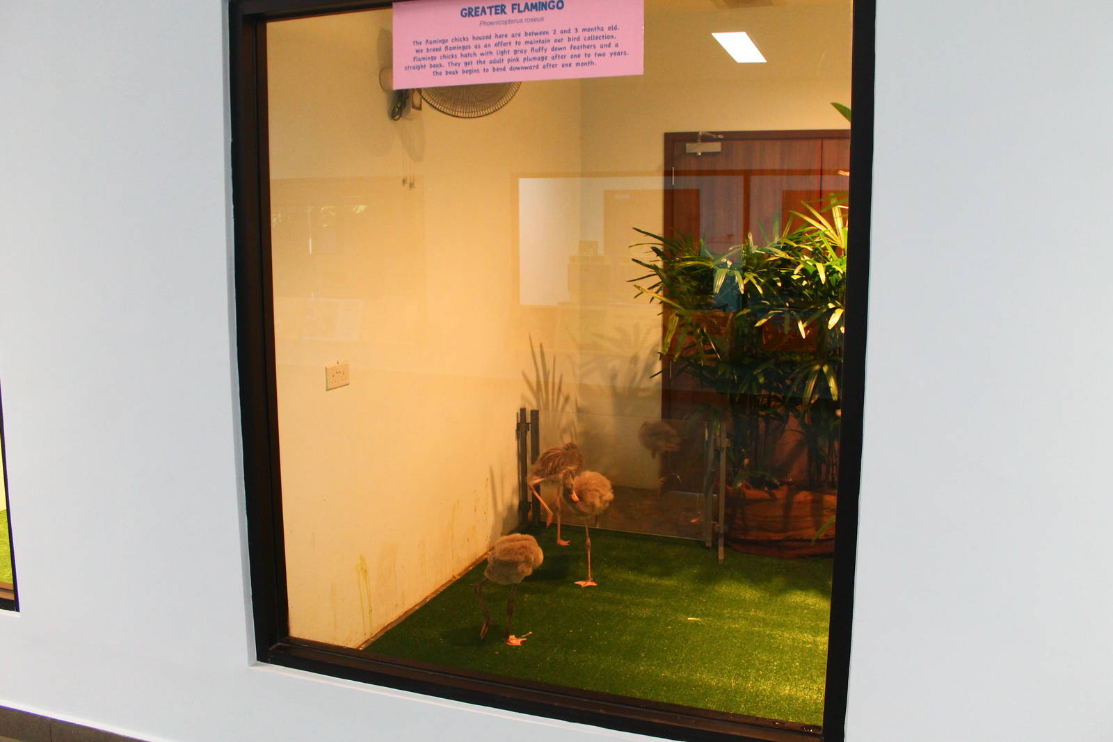 Breeding and Research Centre