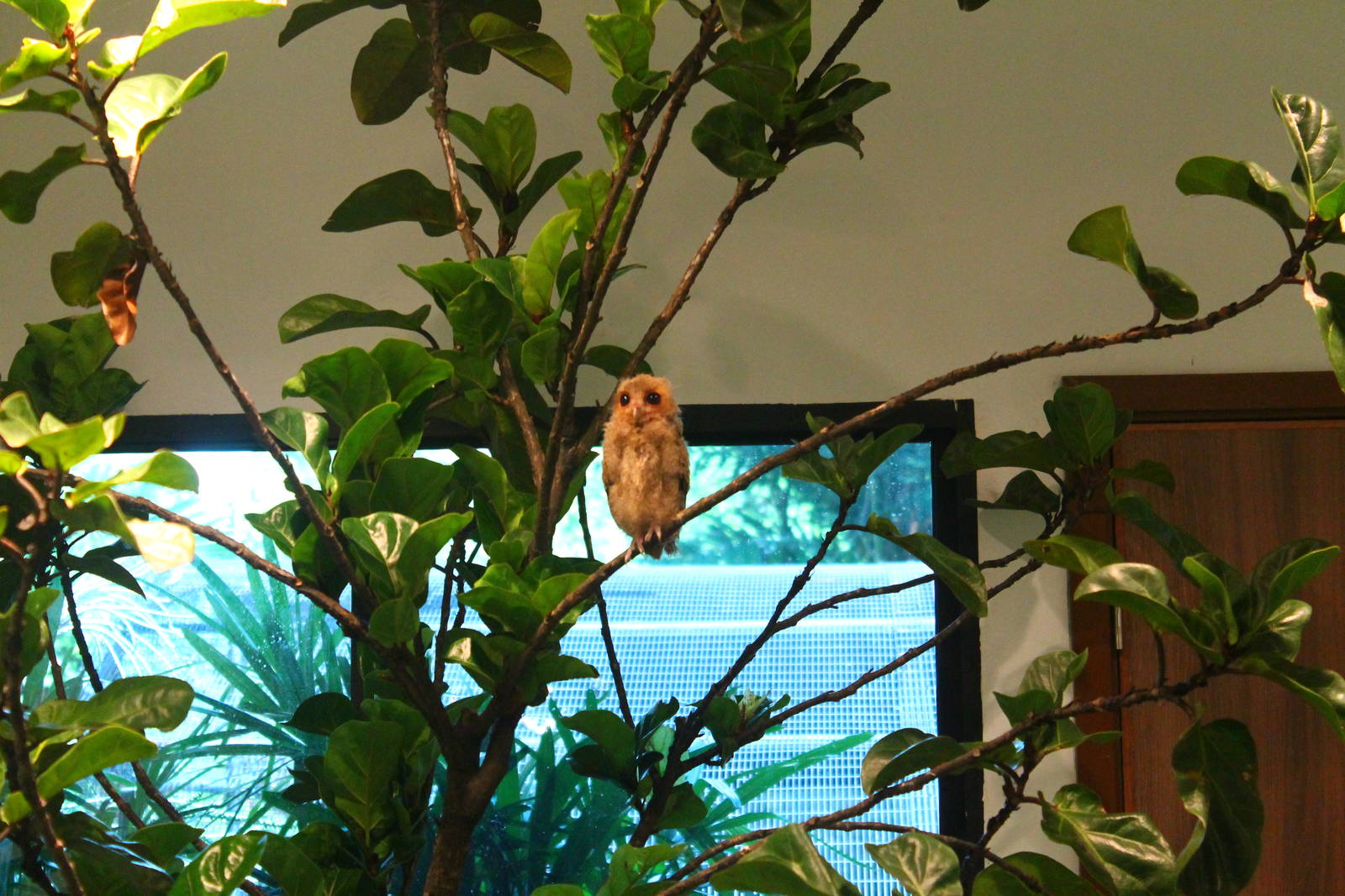 Breeding and Research Centre