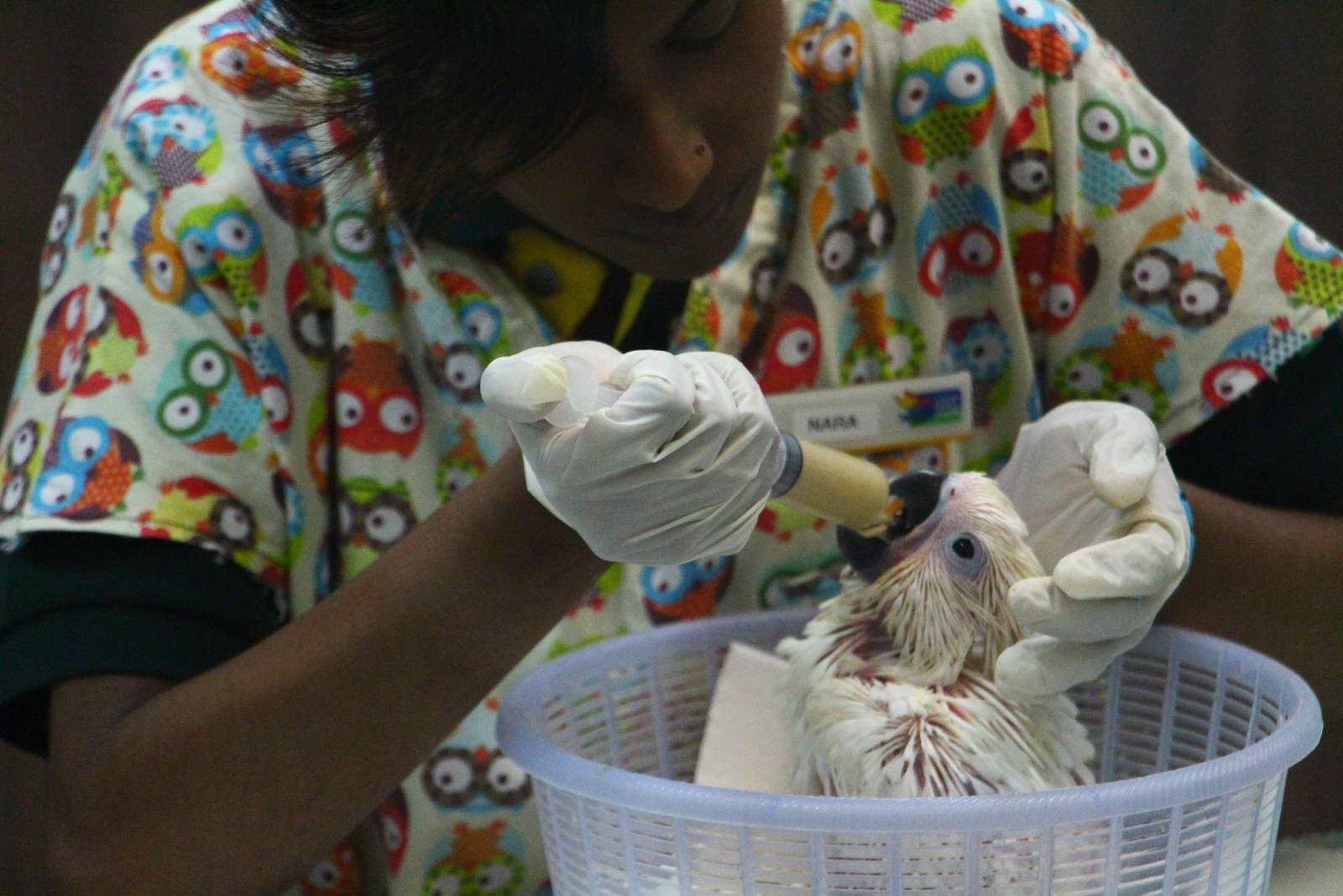 Breeding and Research Centre