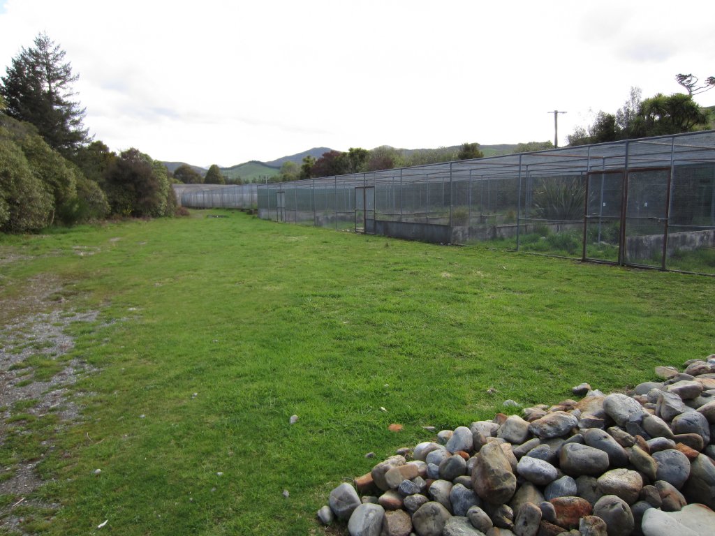 Breeding aviaries for Brown Teal and Shore Plovers