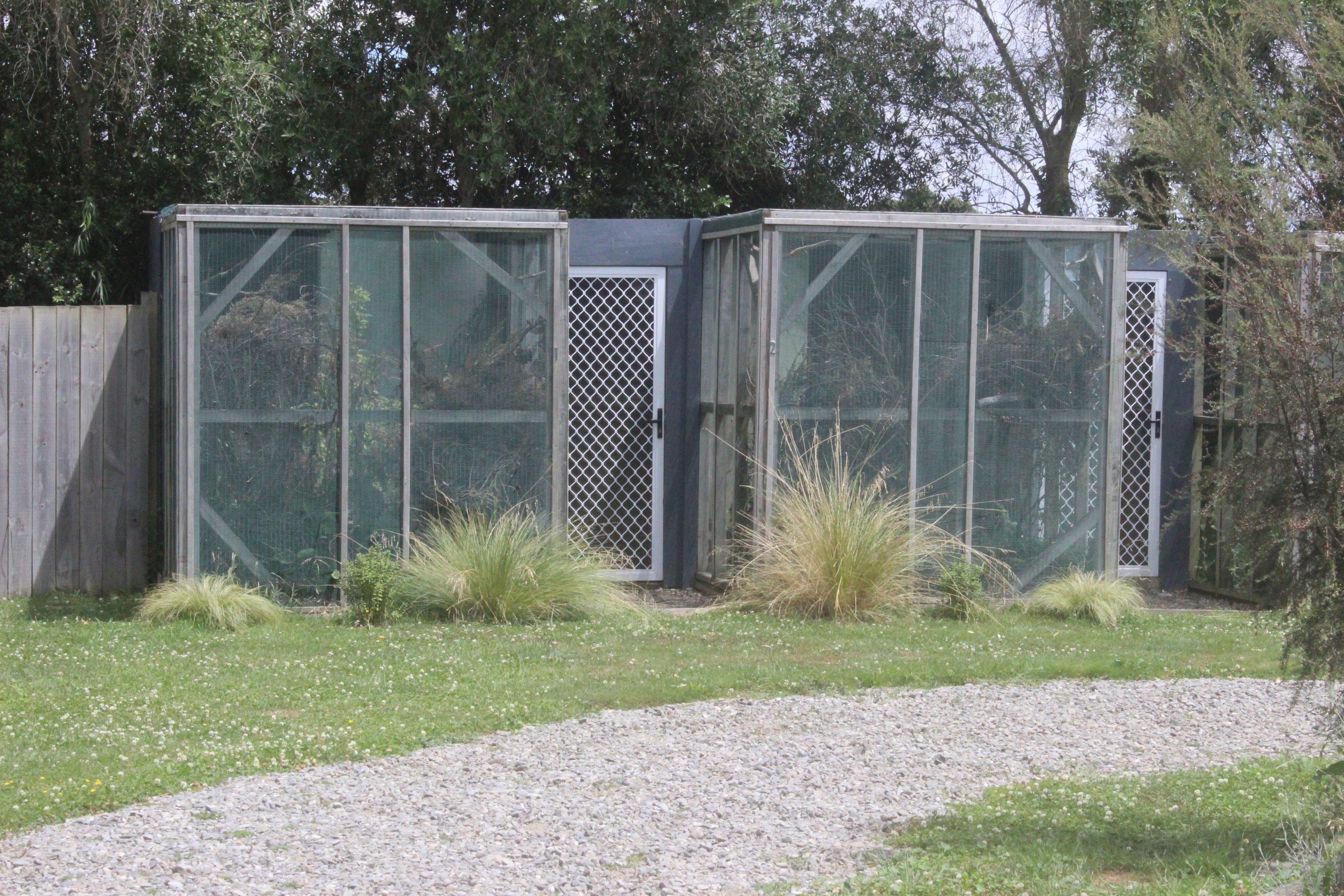 Breeding aviaries for Yellow-crowned Kakariki, Koru Native Wildlife Centre