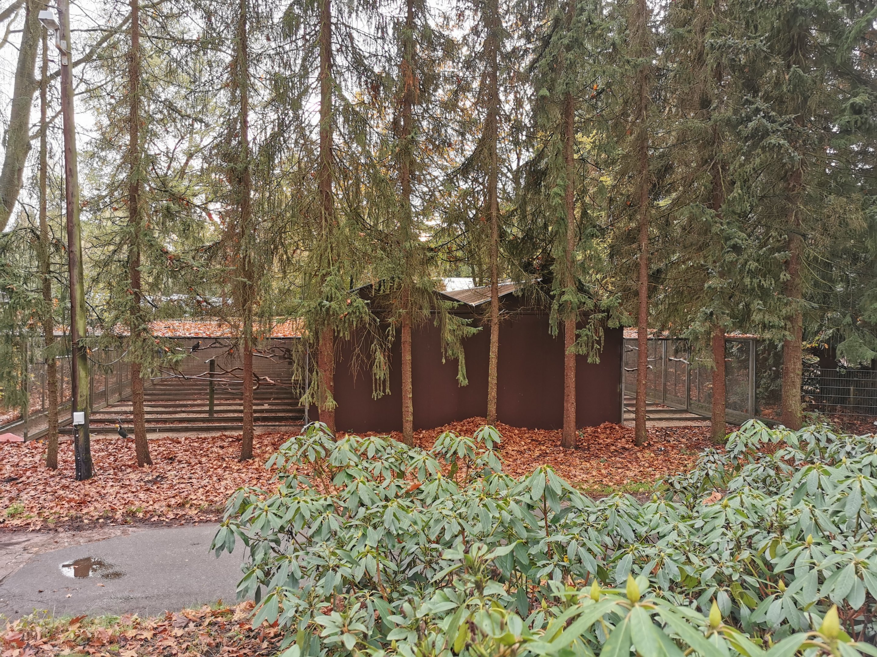 Breeding aviaries (?) seen from "Hinter den Kulissen" (Nov 2nd, 2019)