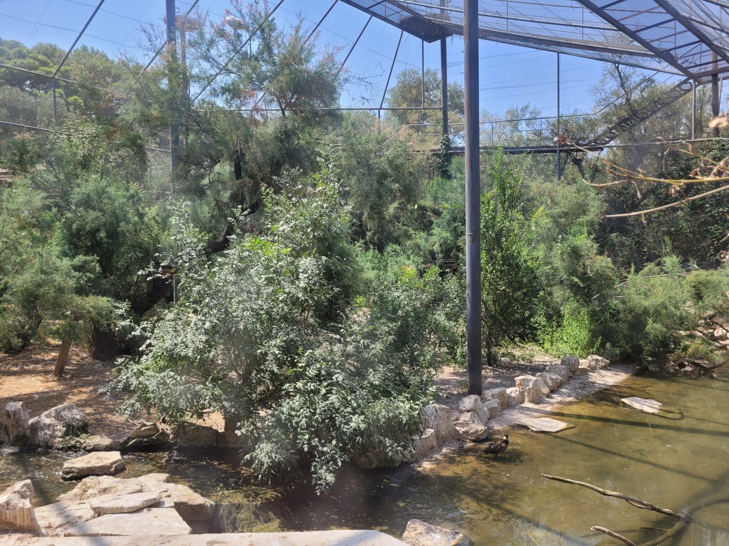 Breeding aviary -Réserve Africaine de Sigean (2022)