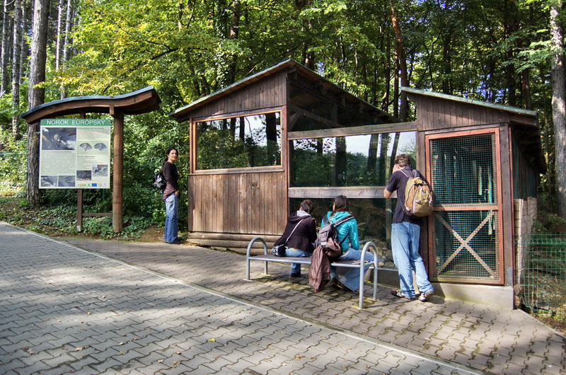 Breeding facility of European Minks