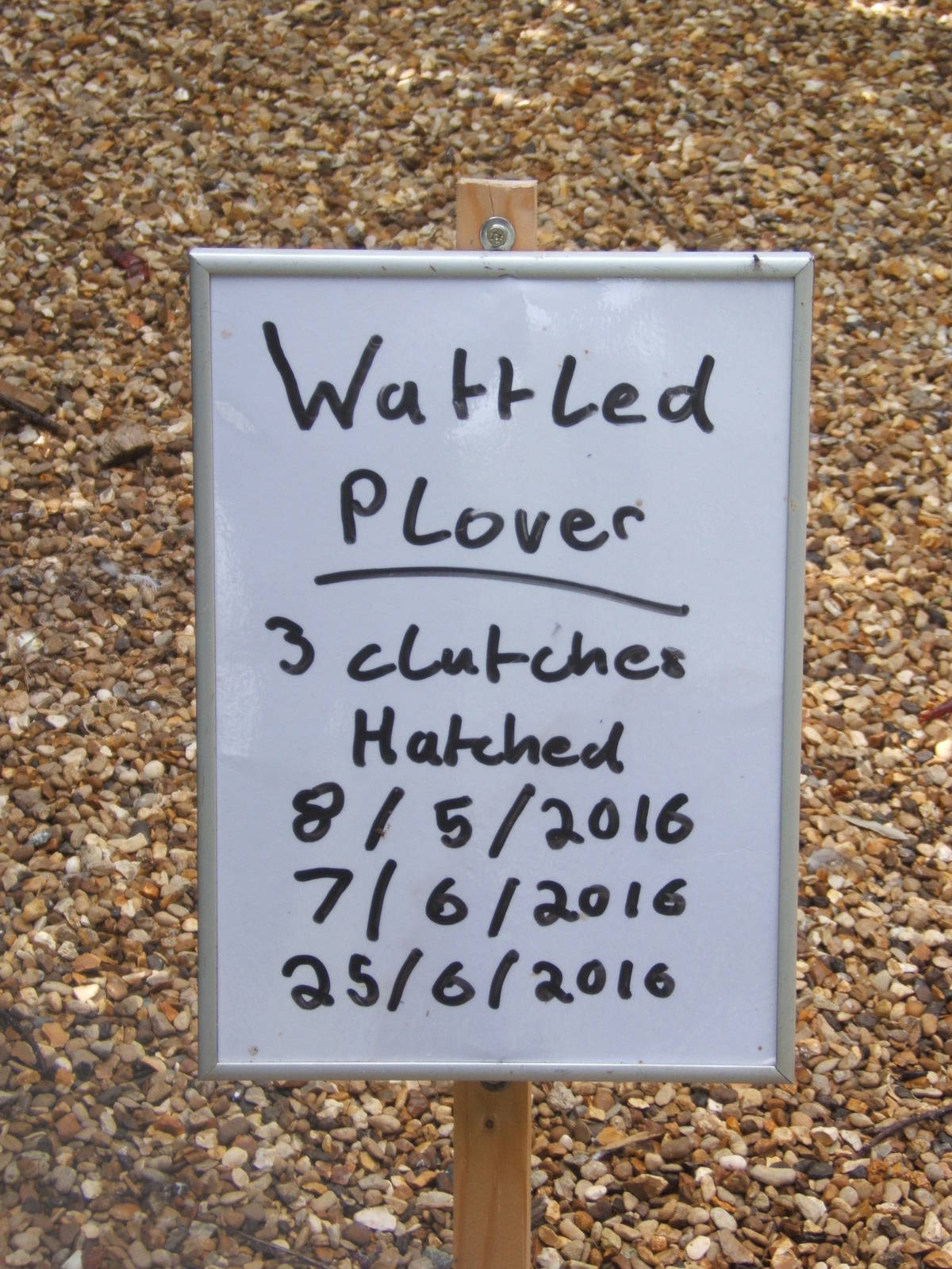 Breeding results sign