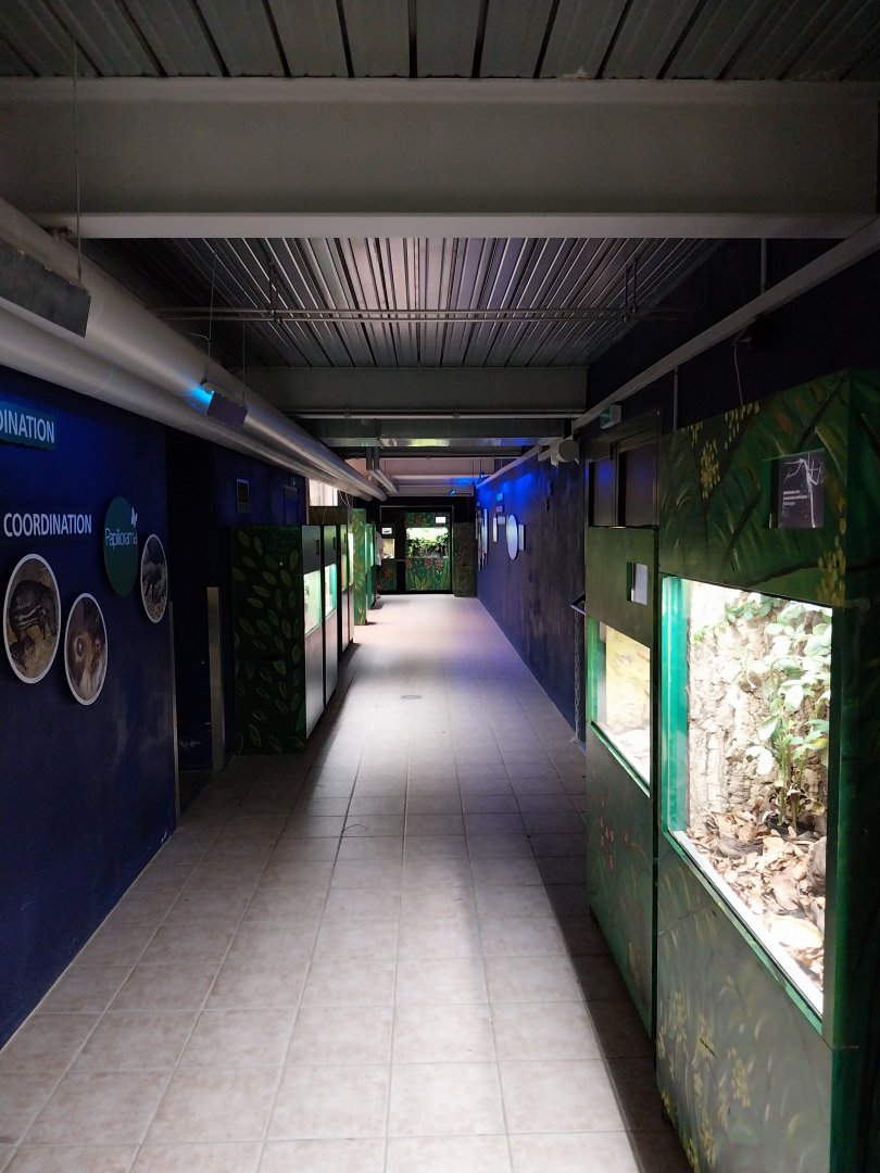 Breeding station - Insect house