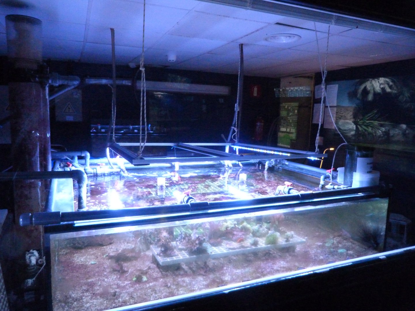 Breeding tanks -Zoo Aquarium de Madrid (2025)