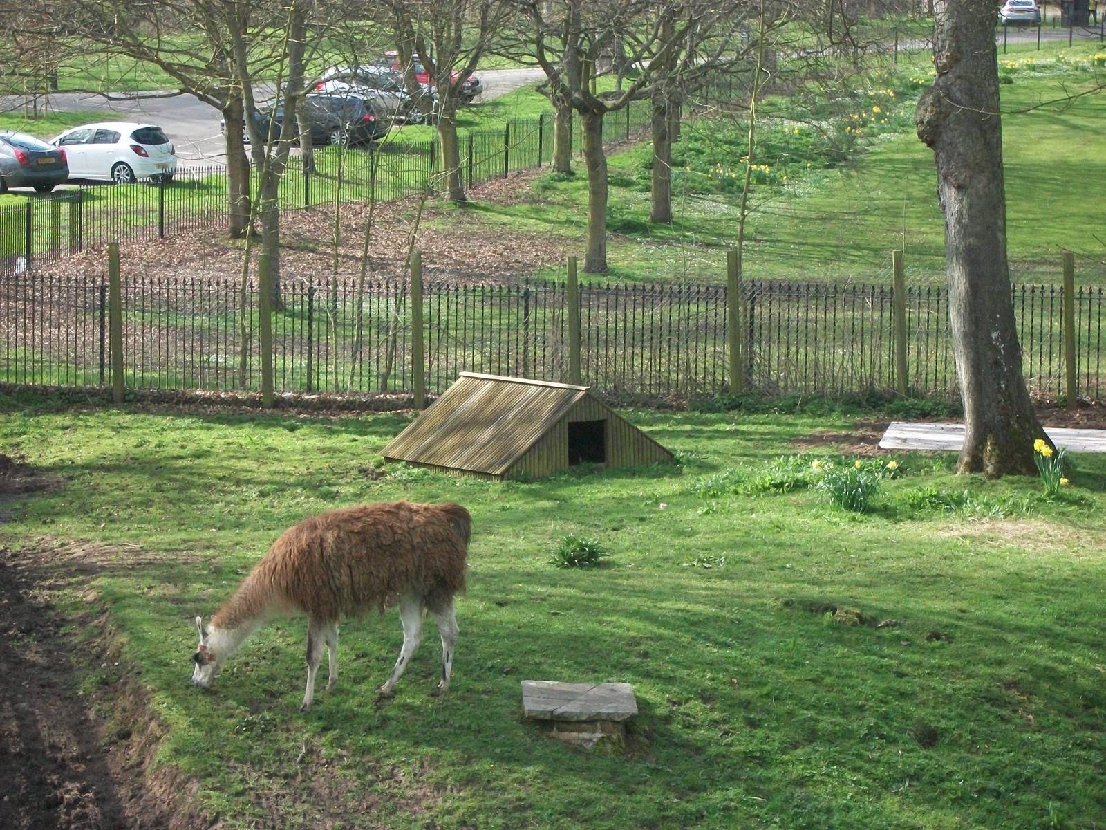 Brenda misses the plinth again, 12th April 2014