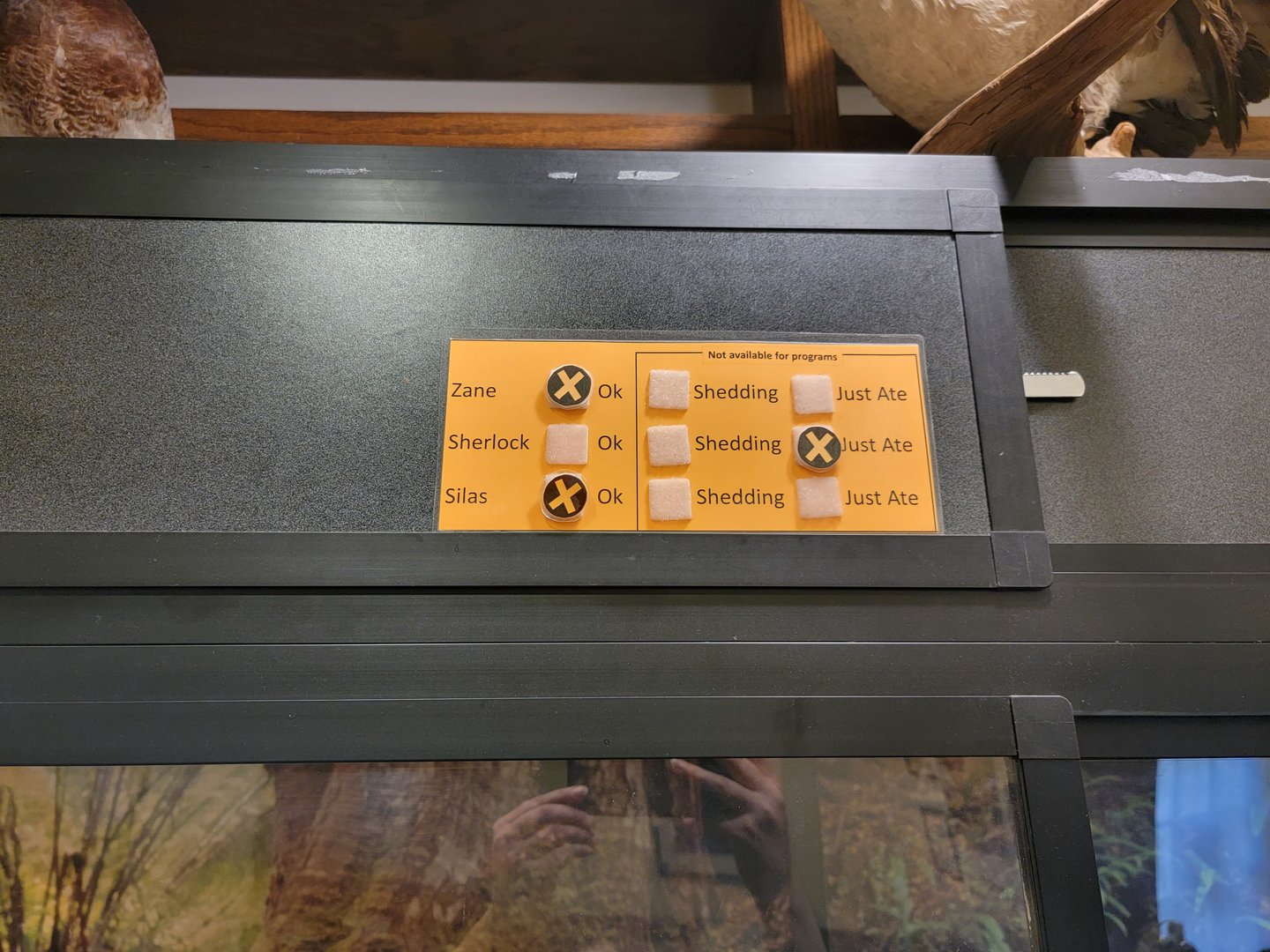 Briar Bush NC - A great, easy way to manage ambassador snakes!