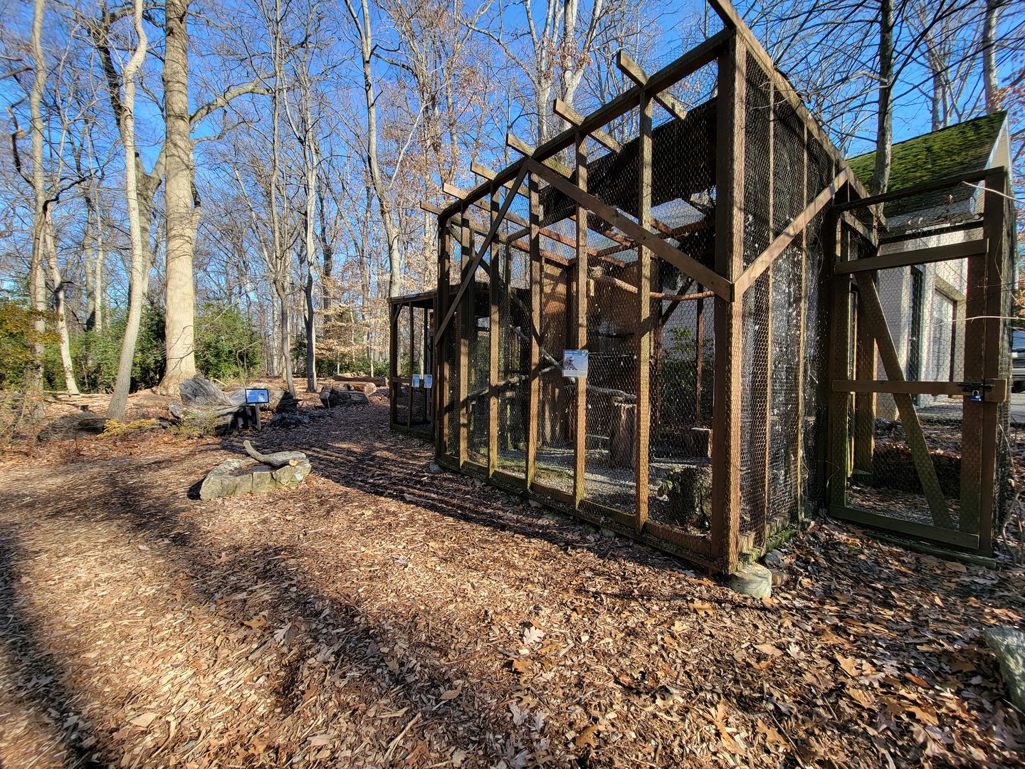 Briar Bush NC - Birds