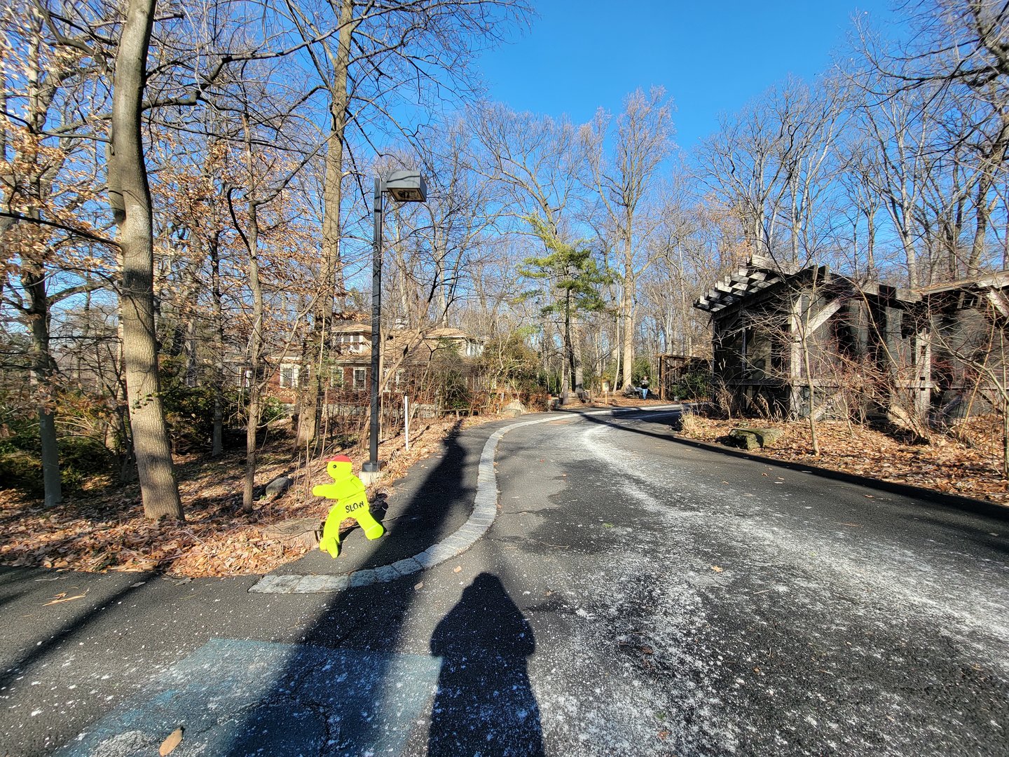 Briar Bush NC - Center on left, butterflies on right