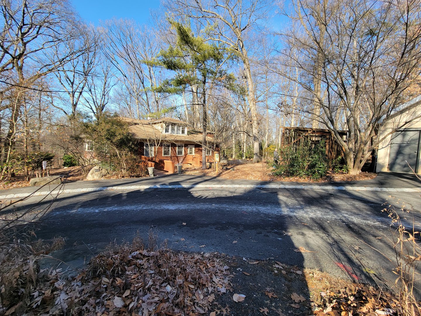Briar Bush NC - Dede Long Nature Museum, birds on right