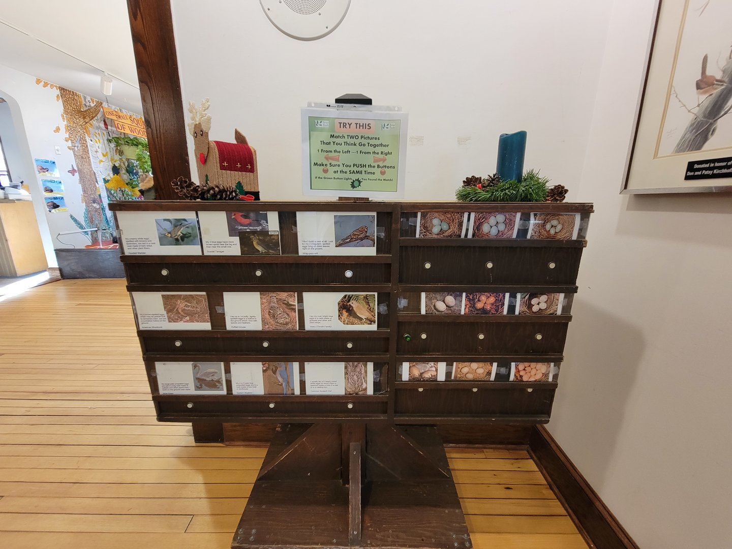 Briar Bush NC - Match birds to eggs