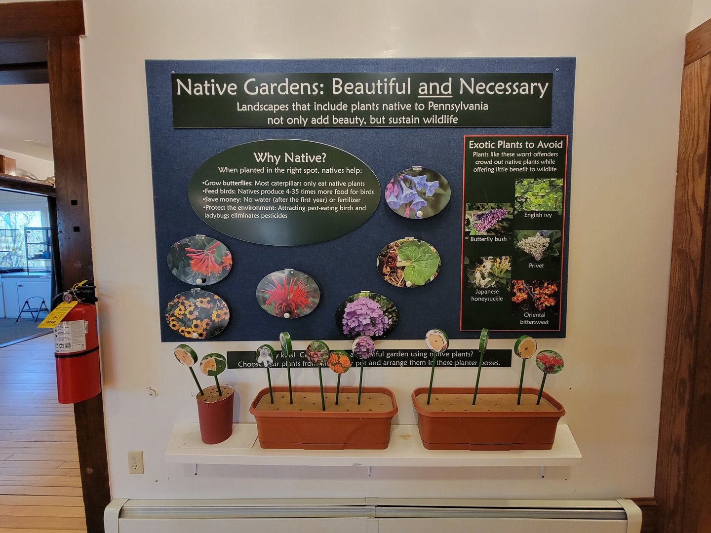 Briar Bush NC - Native Gardens