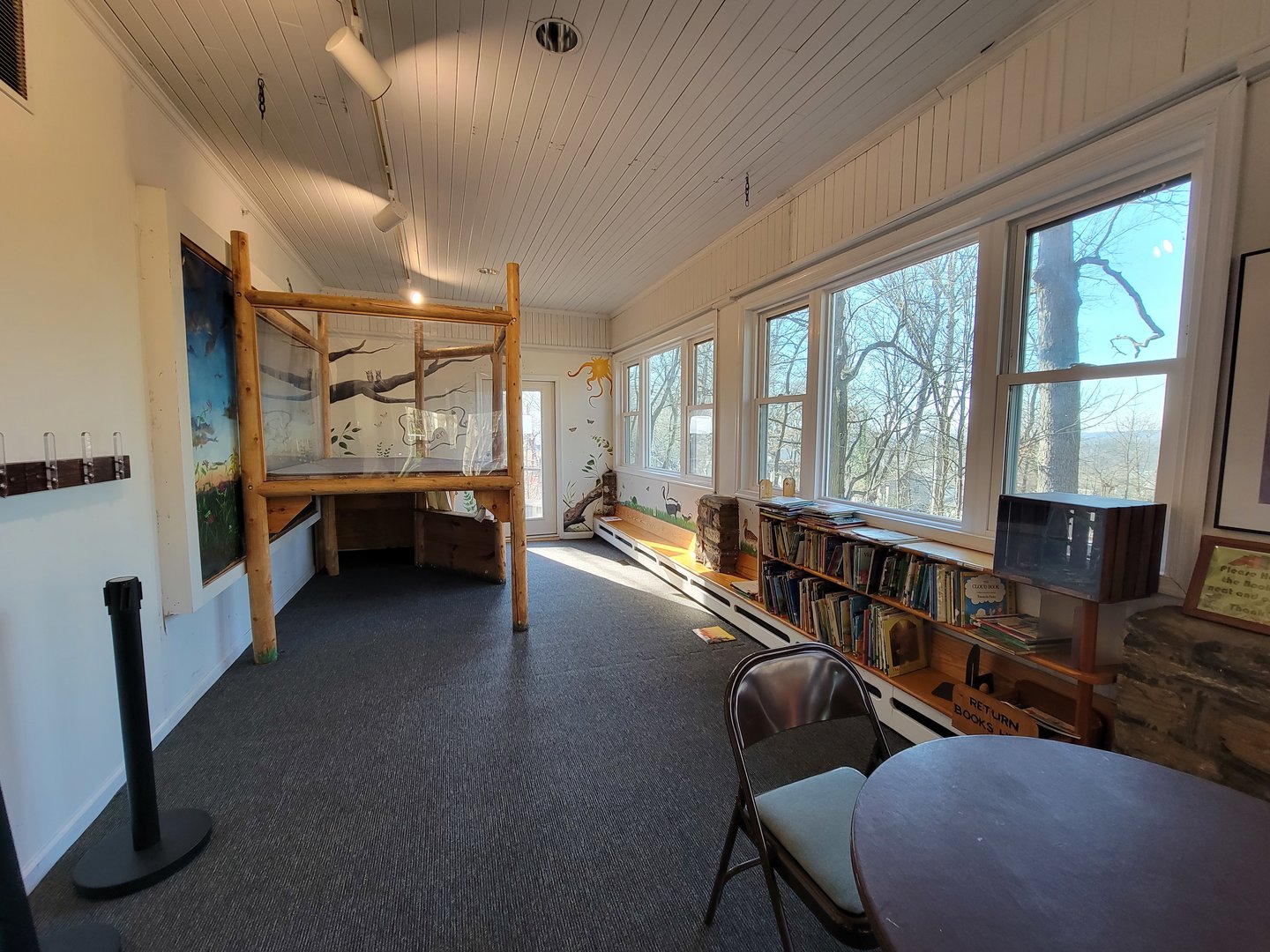 Briar Bush NC - Play area for kids