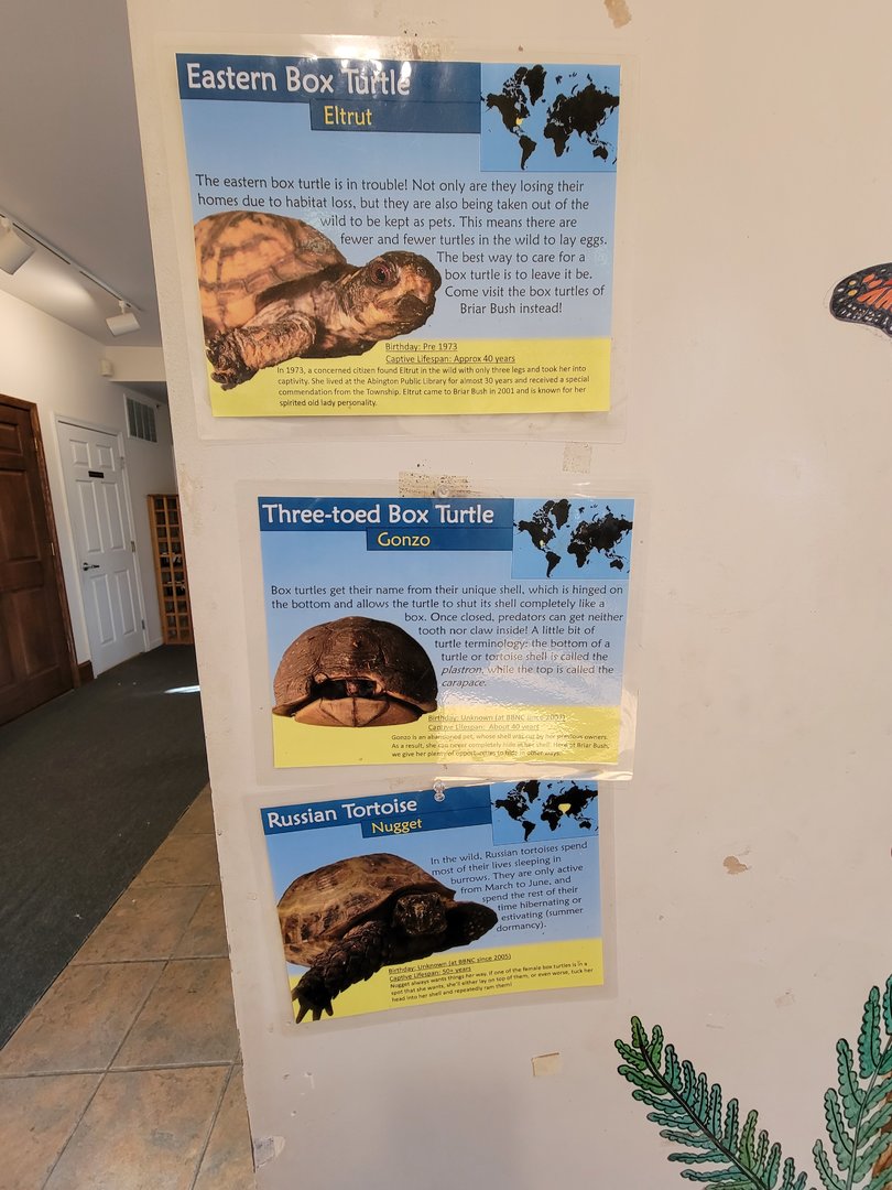 Briar Bush NC - Signs for eastern box turtle, three-toed box turtle, and Russian tortoise