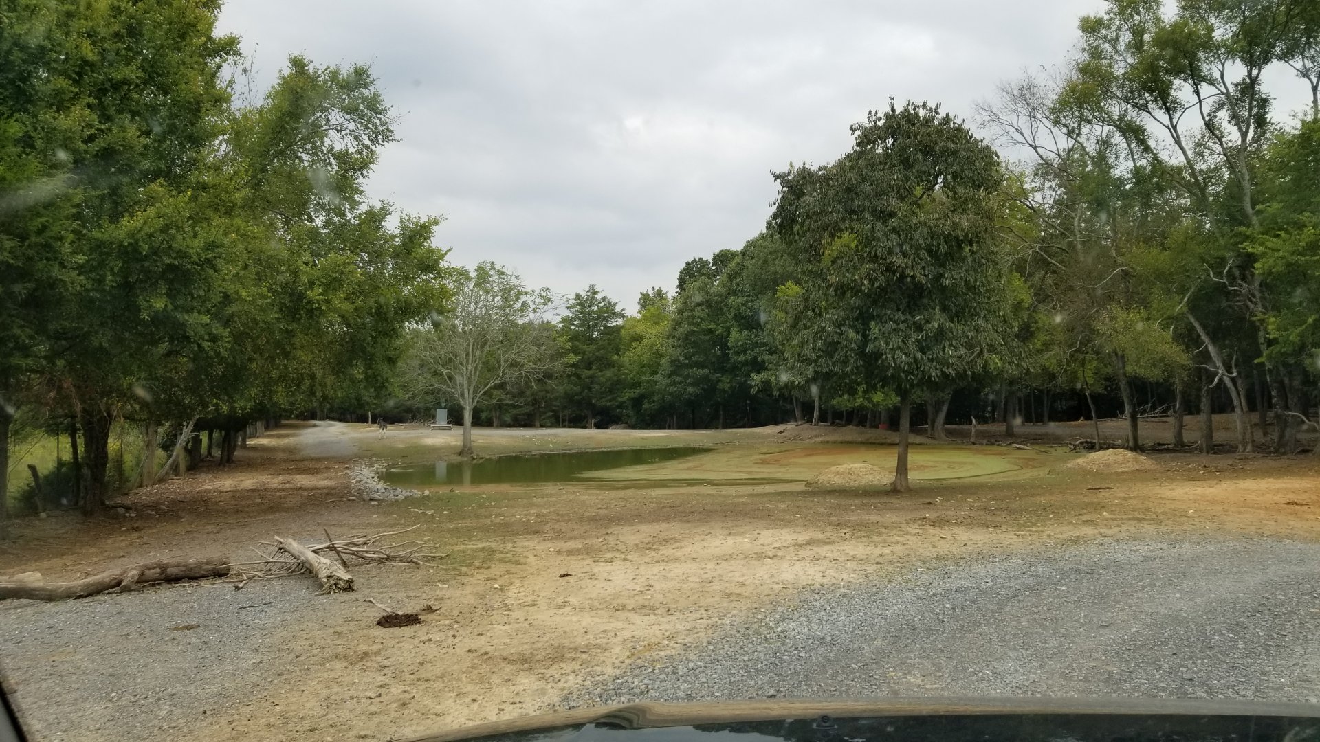 Briarwood Ranch SP - Area past bison