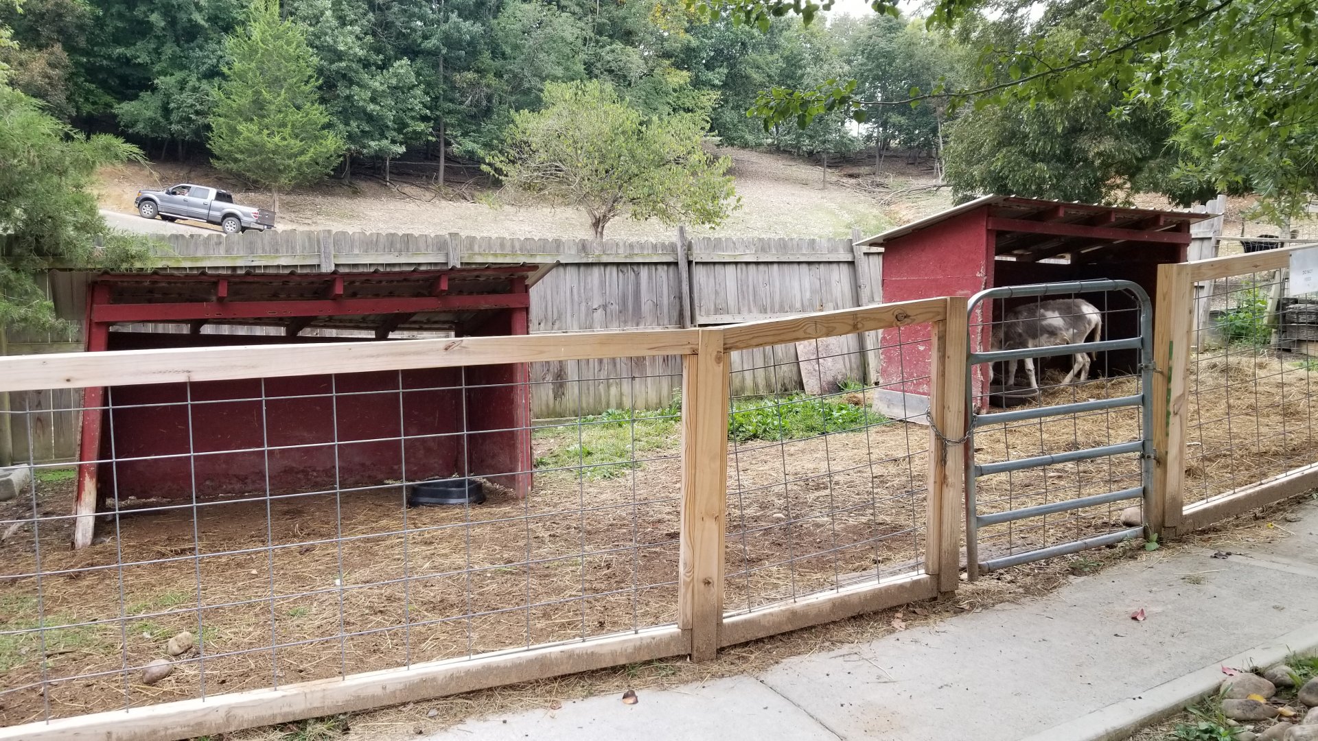 Briarwood Ranch SP - Donkey yard