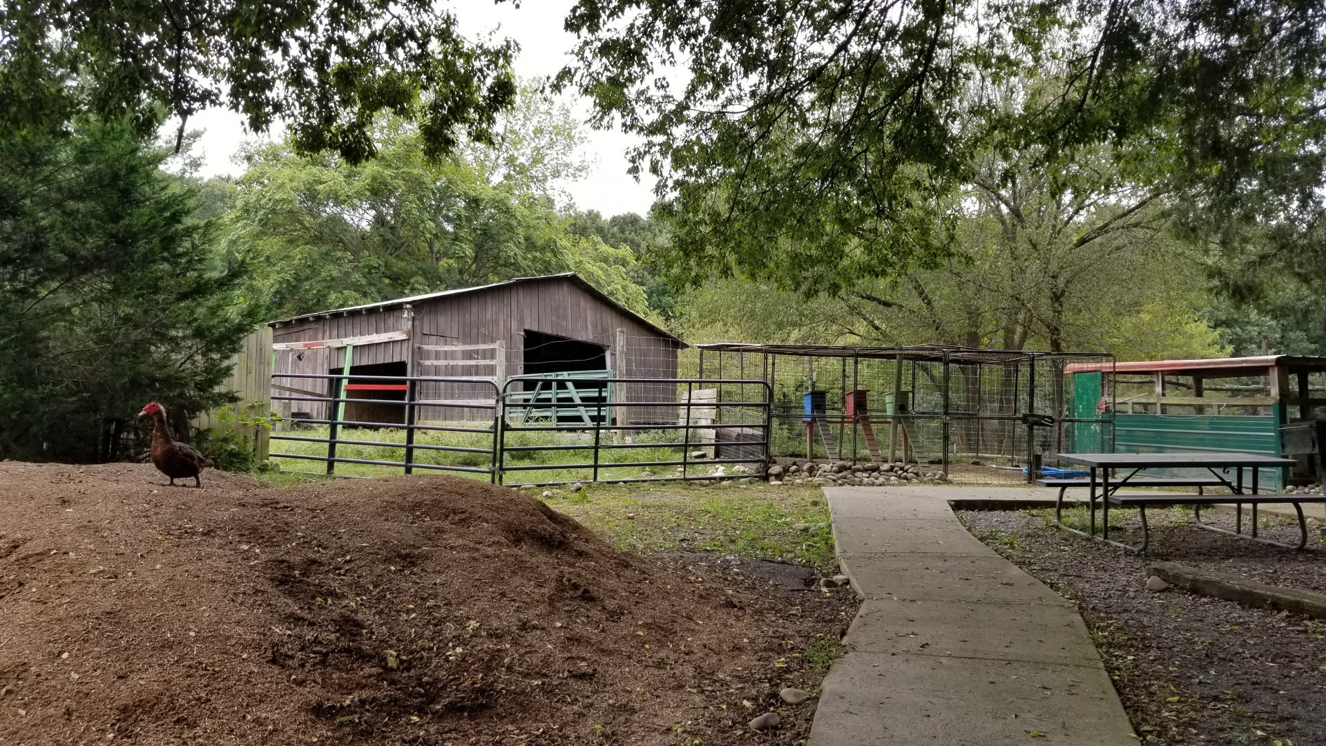 Briarwood Ranch SP - Path to birds