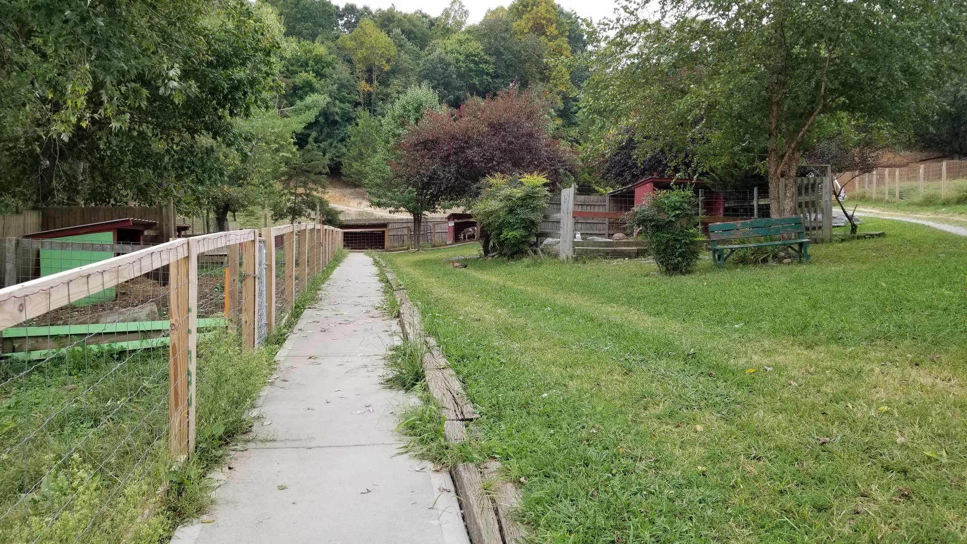 Briarwood Ranch SP - Path