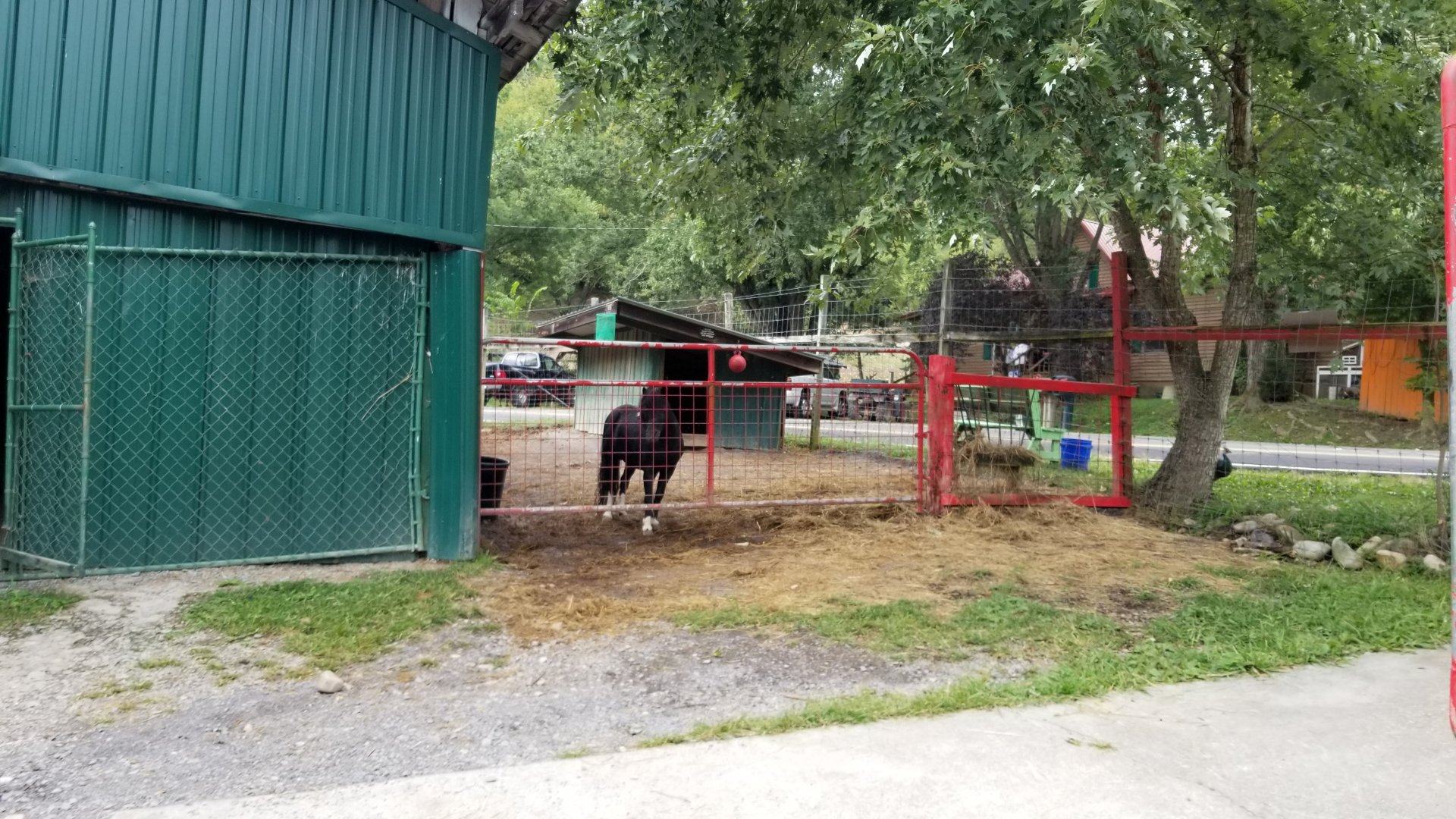 Briarwood Ranch SP - Pony between building and road
