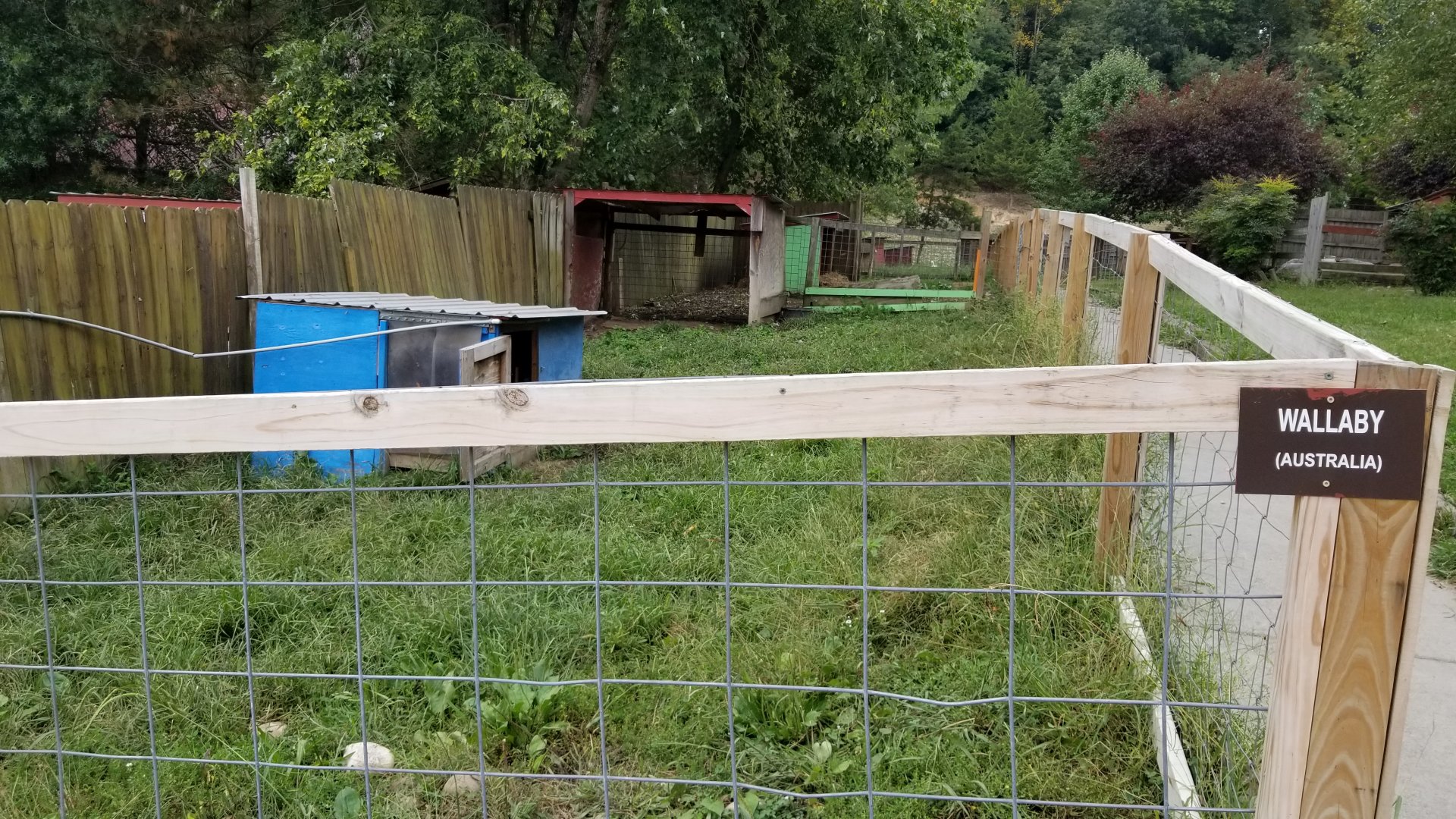 Briarwood Ranch SP - Wallaby