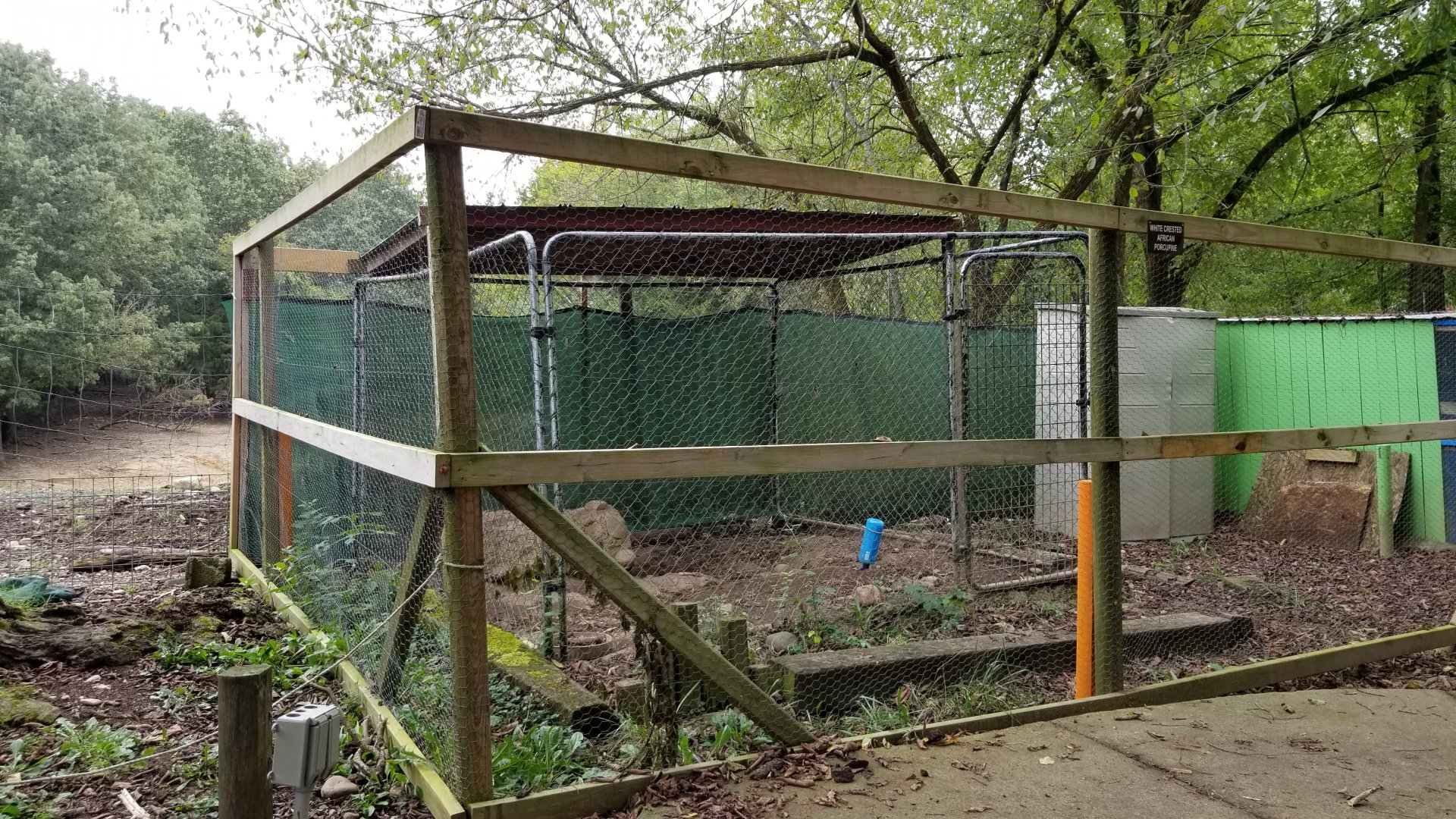 Briarwood Ranch SP - "White Crested African Porcupine"