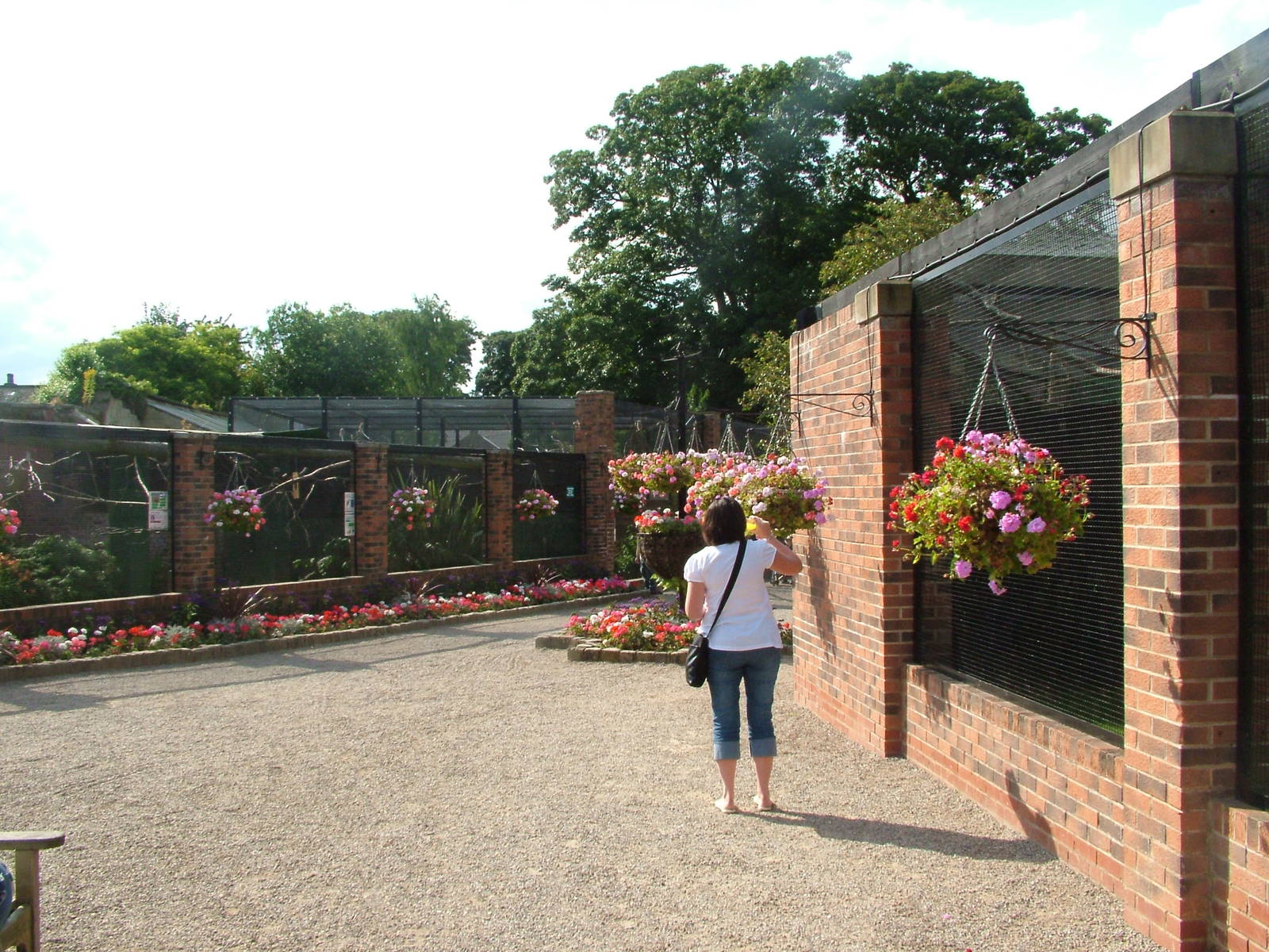 Brick-built Aviaries at Lotherton 2007