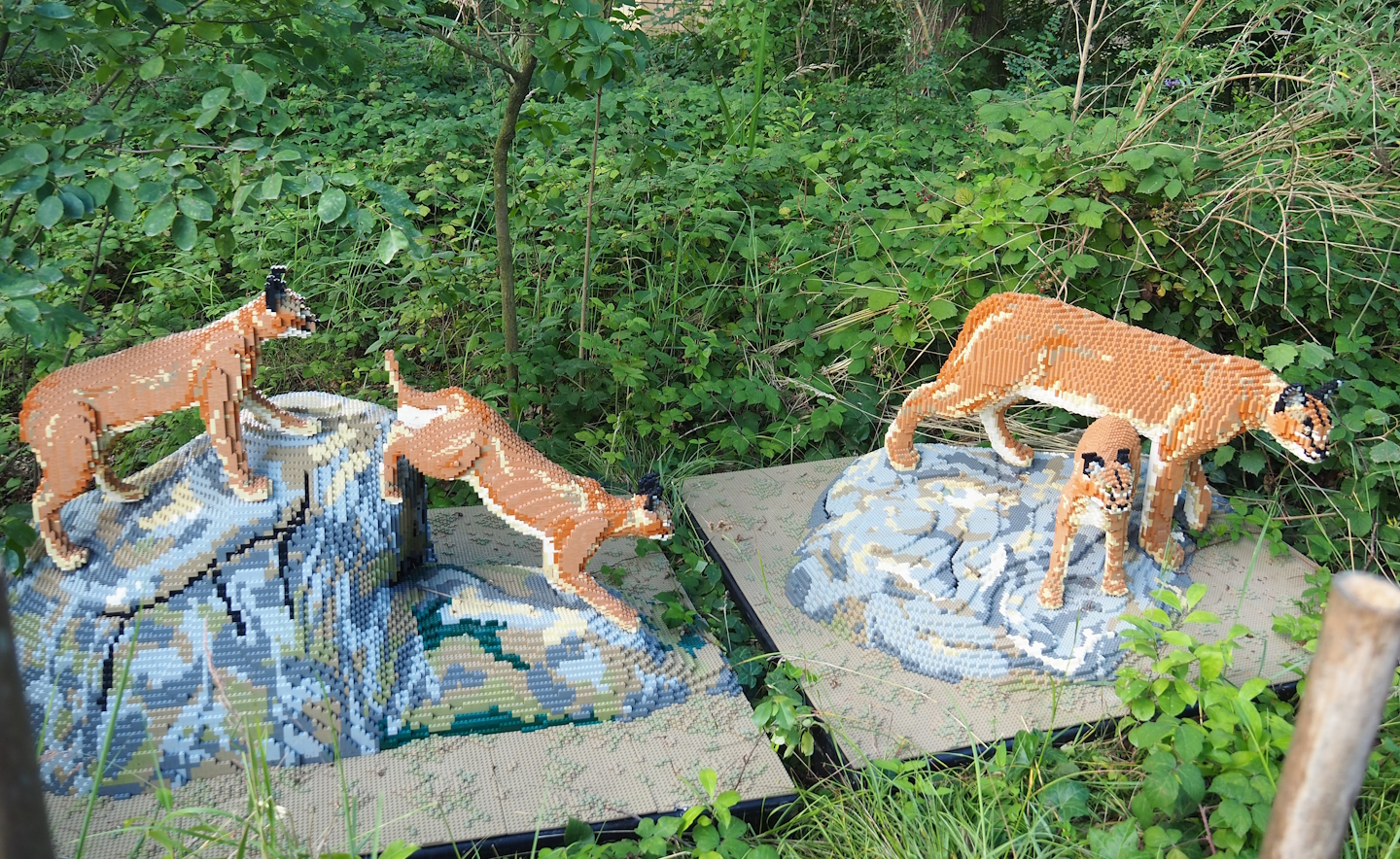 Brick Safari temporary summer event - Lego caracals, 2023-07-26
