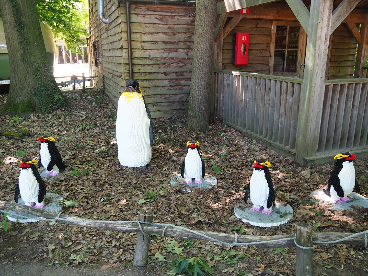 Brick Safari temporary summer event -Lego King and Rockhopper penguins, 2023-07-08