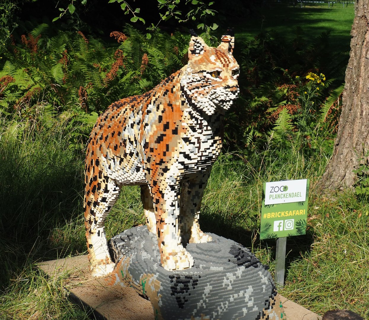 Brick Safari temporary summer event -Lego Lynx, 2023-07-08