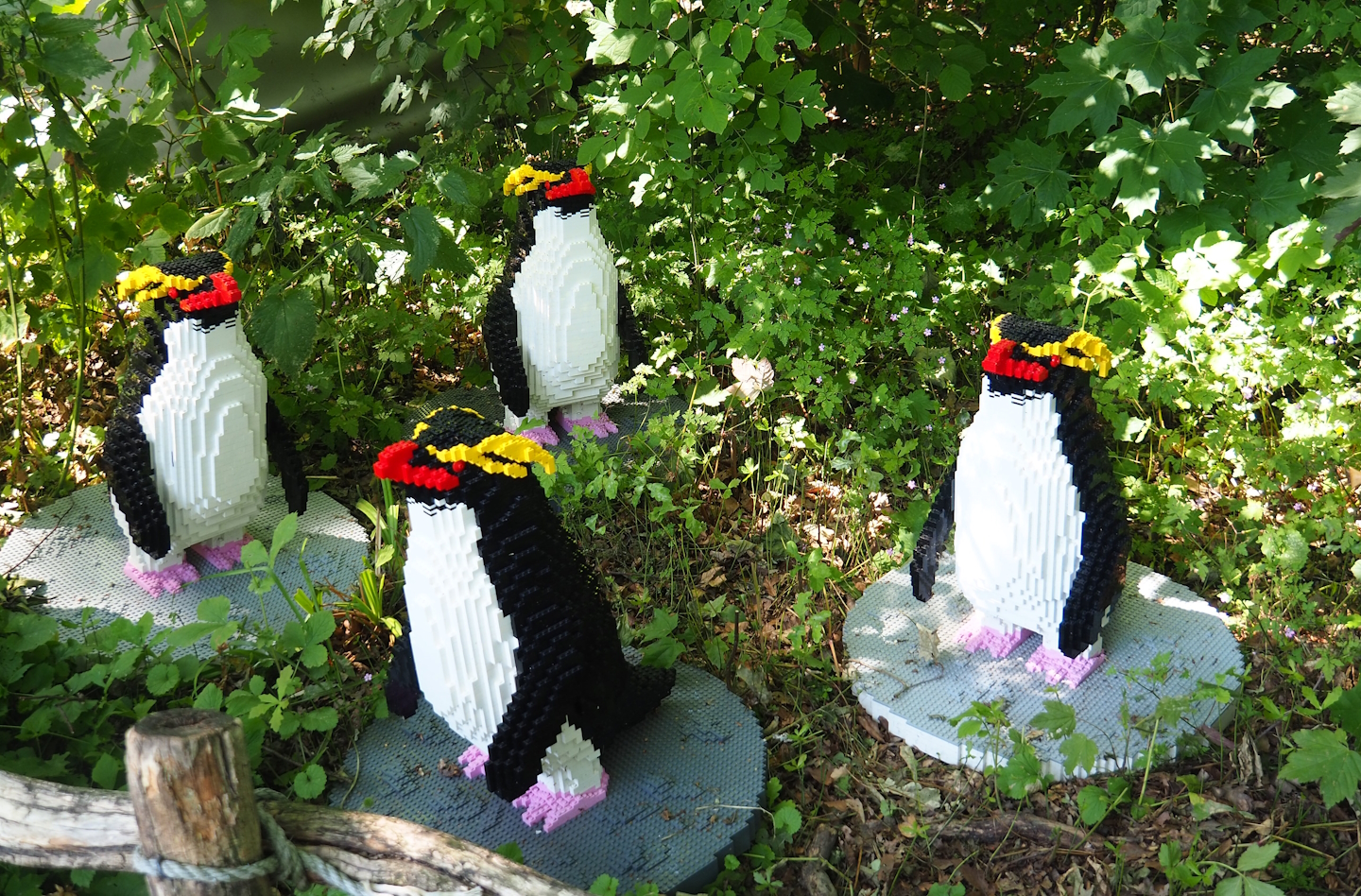 Brick Safari temporary summer event -Lego Rockhopper penguins, 2023-07-08