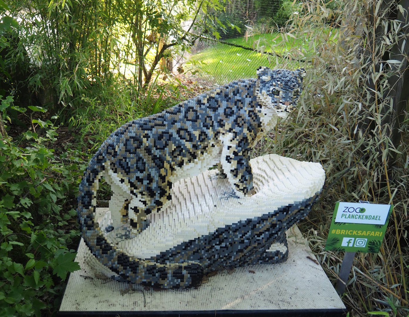 Brick Safari temporary summer event -Lego Snow leopard, 2023-07-08