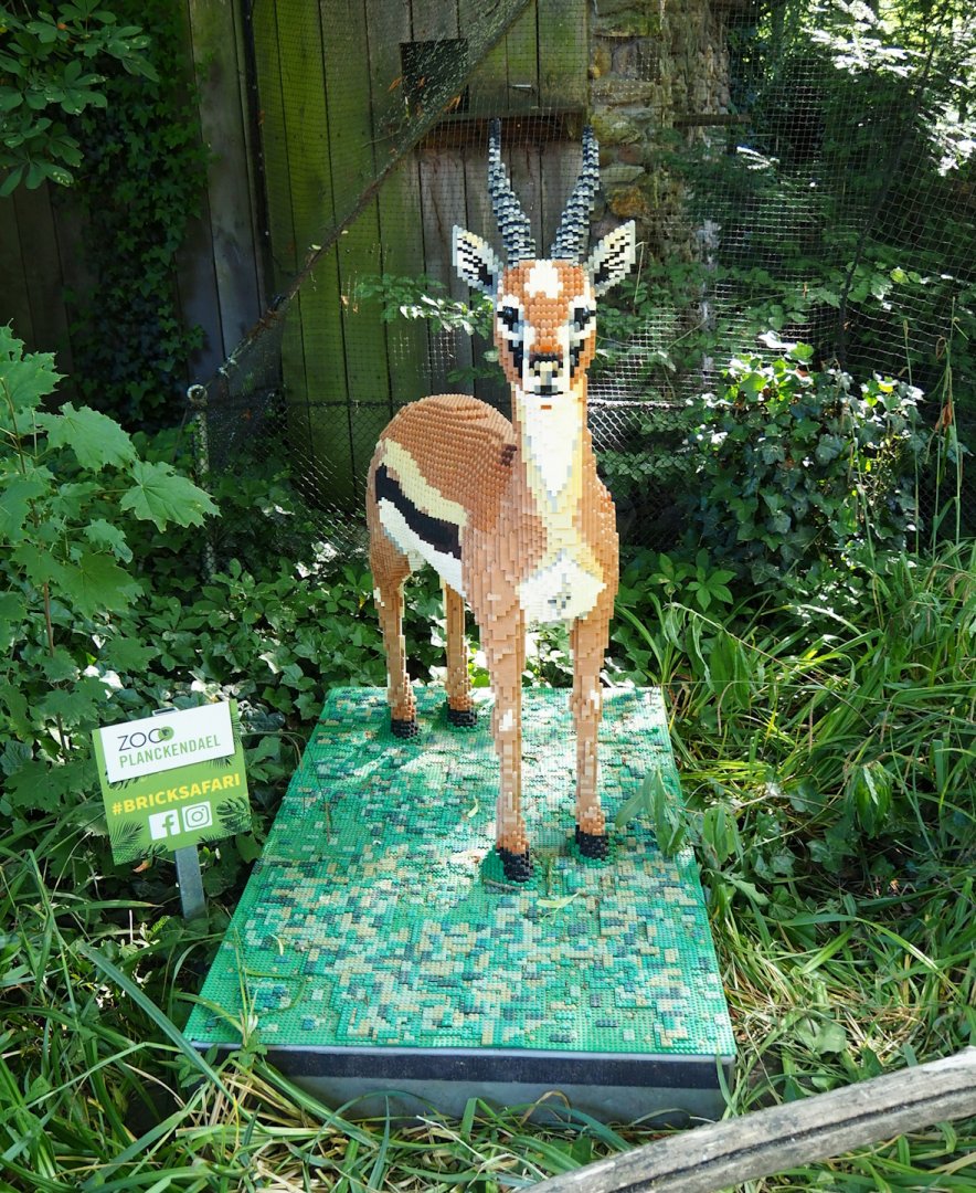 Brick Safari temporary summer event -Lego Thomson's gazelle, 2023-07-08