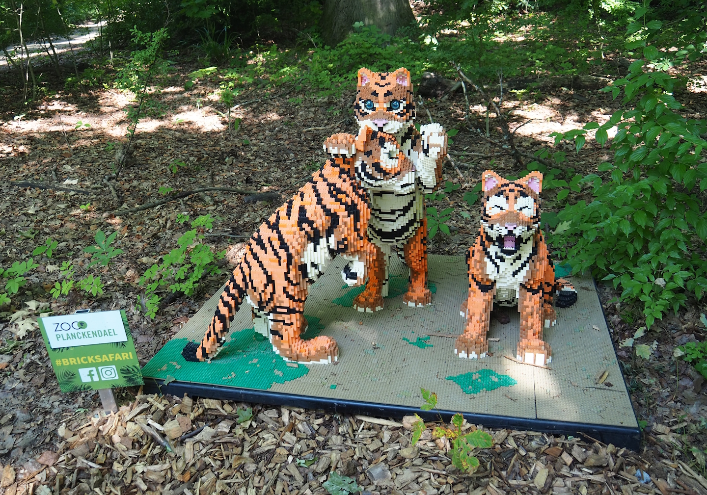 Brick Safari temporary summer event -Lego Tiger cubs, 2023-07-08