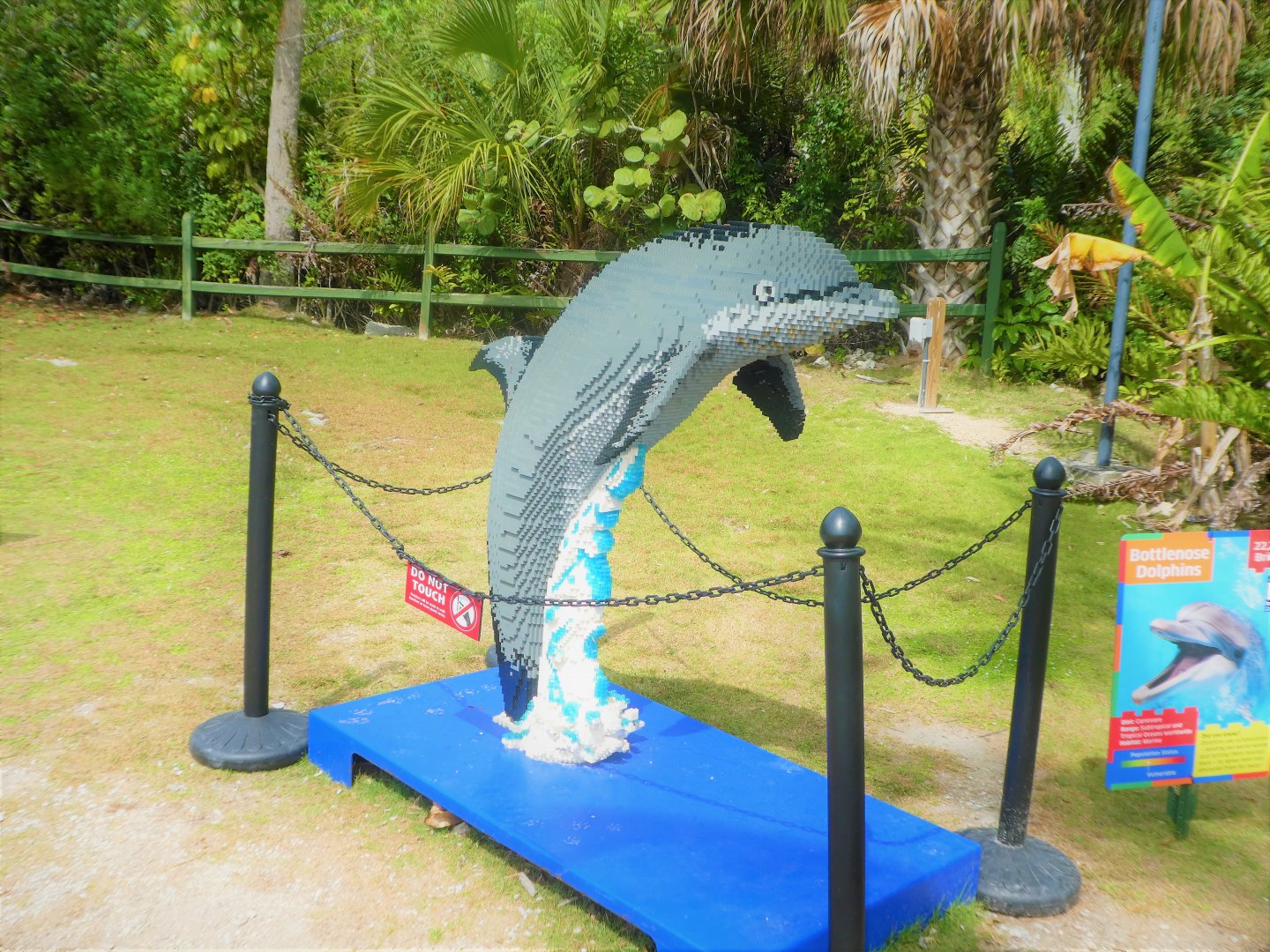 BRICKLIVE! Animal Paradise - Common Bottlenose Dolphin