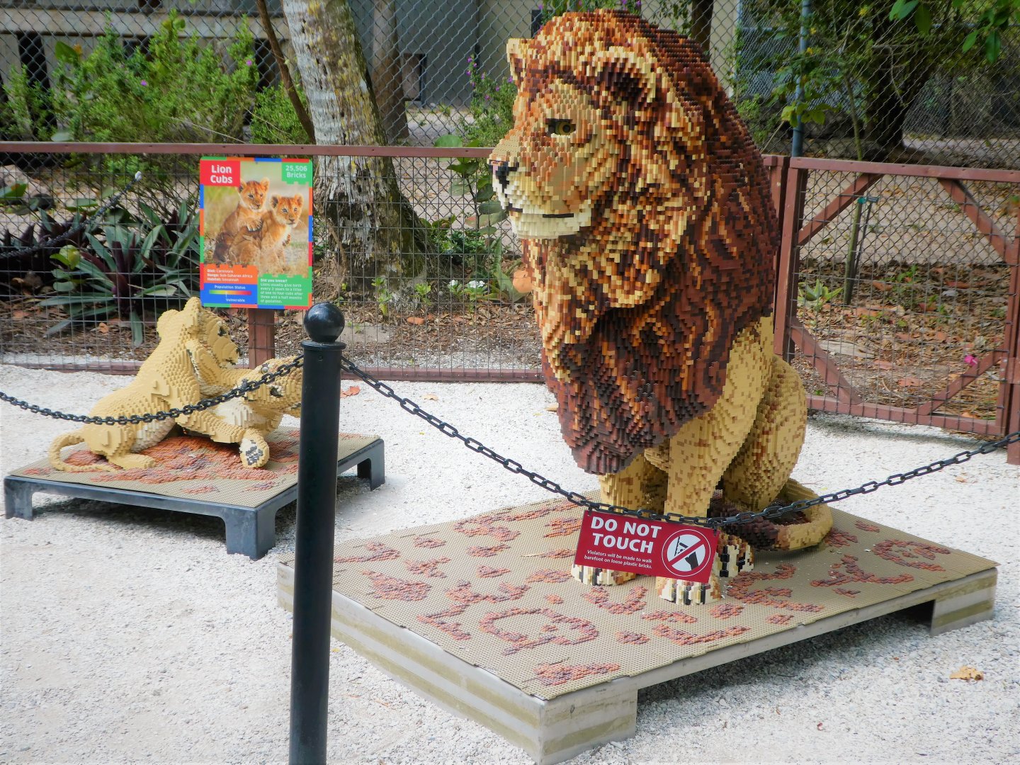 BRICKLIVE! Animal Paradise - Lion