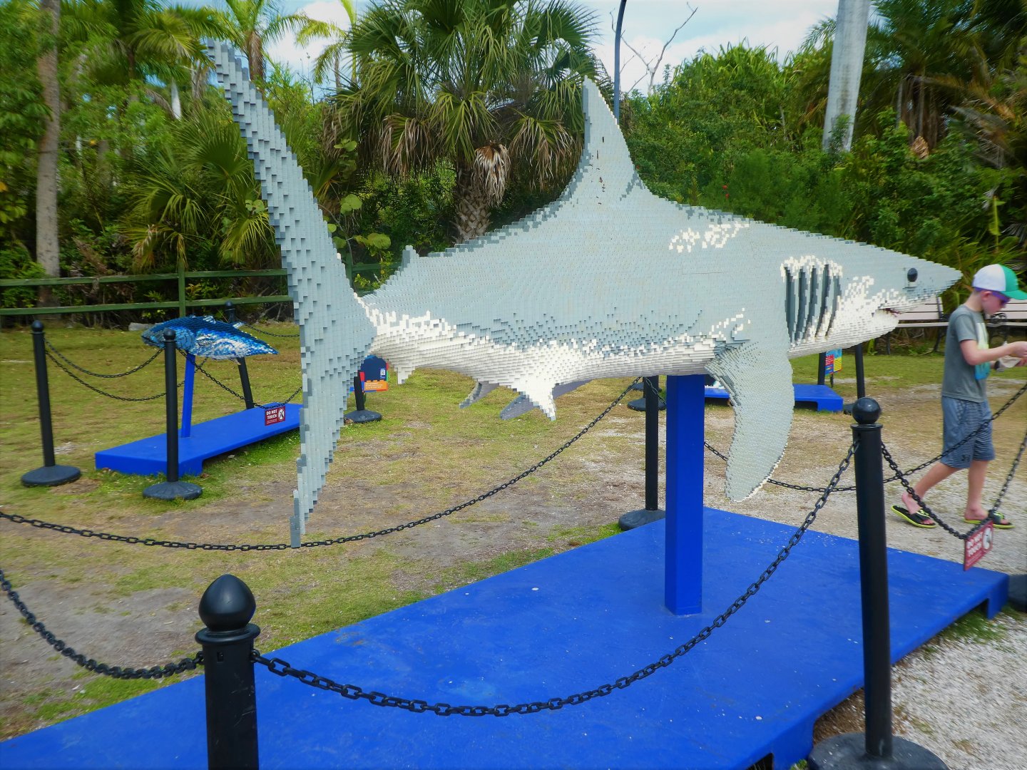 BRICKLIVE! Animal Paradise - Mako Shark
