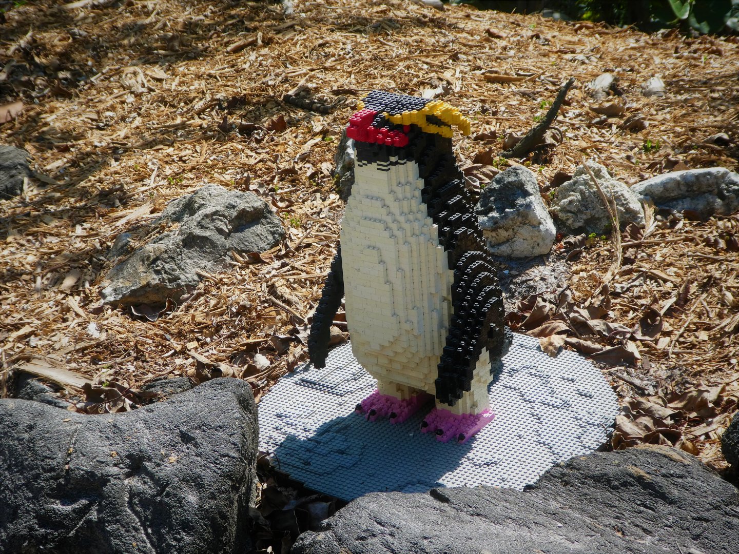 BRICKLIVE! Animal Paradise - Rockhopper Penguin