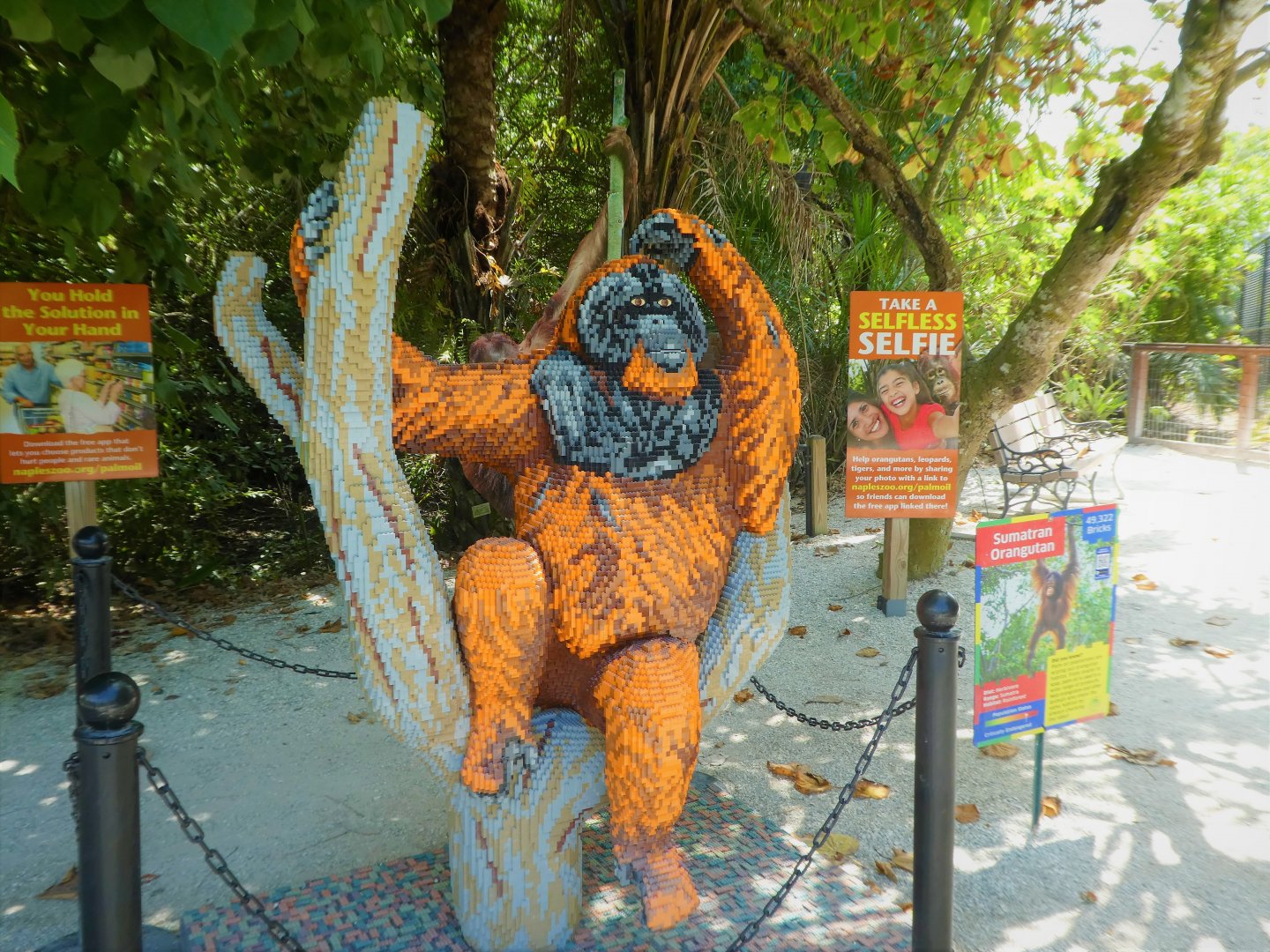 BRICKLIVE! Animal Paradise - Sumatran Orangutan