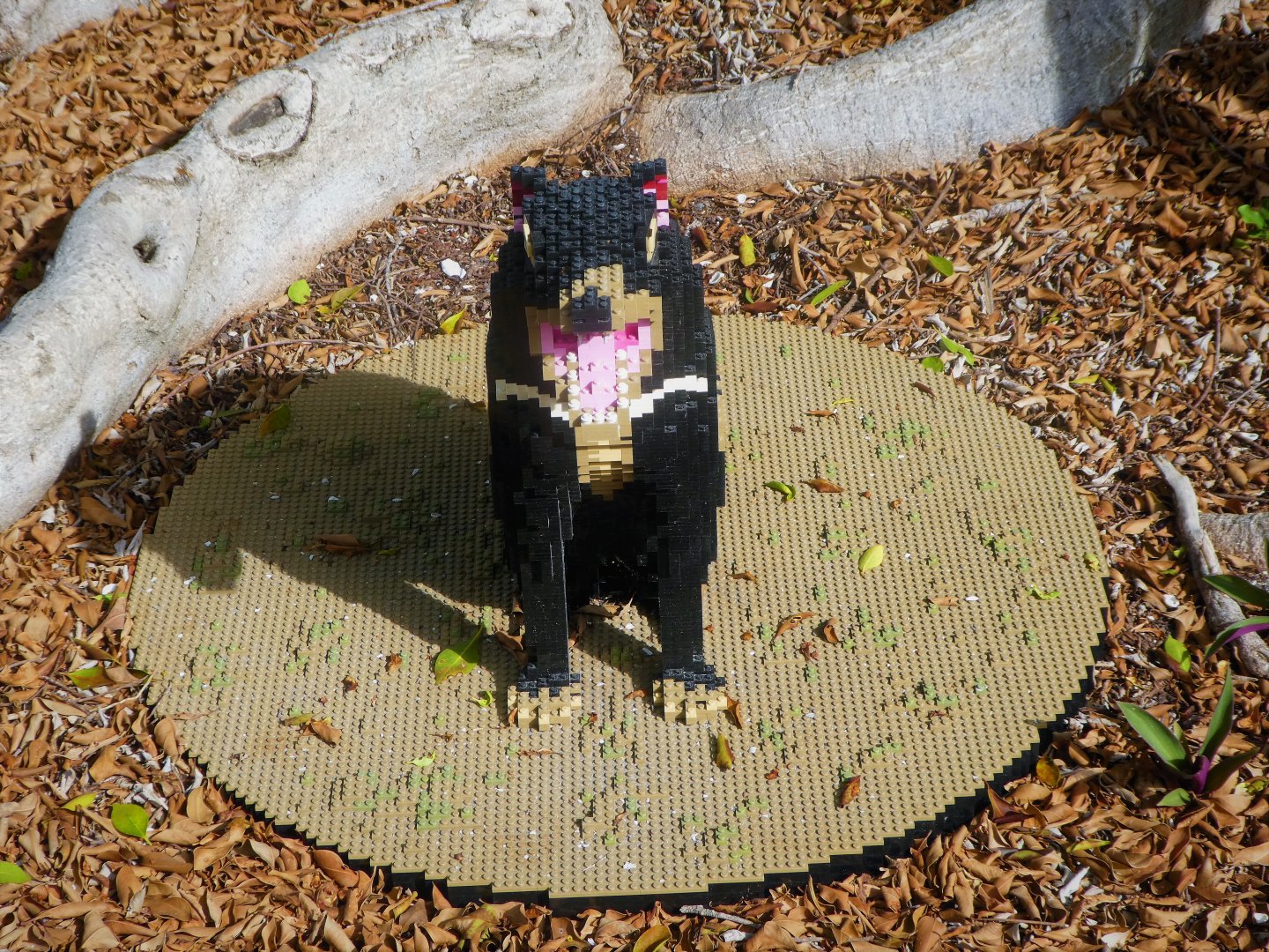 BRICKLIVE! Animal Paradise - Tasmanian Devil