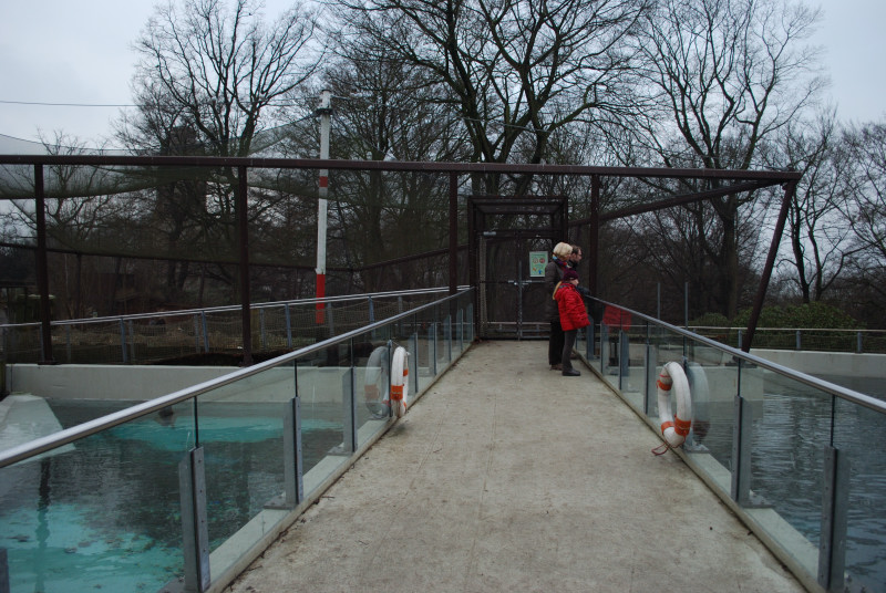 Bridge above the seal/penguinpool