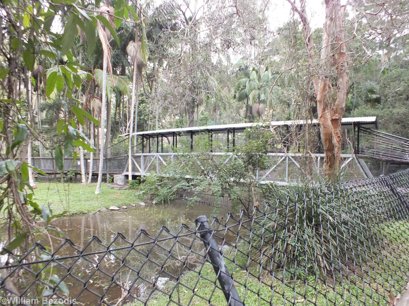 Bridge Across the Crocodile Enclosures
