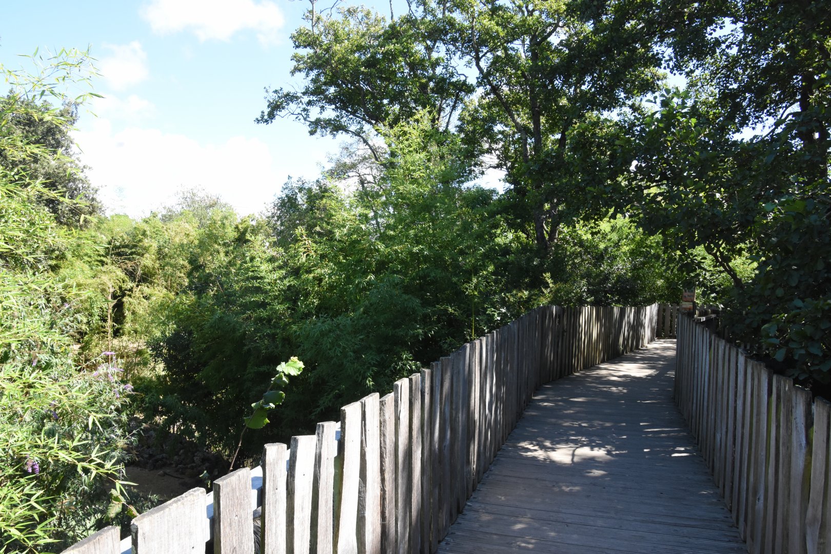 Bridge after zoo entrance