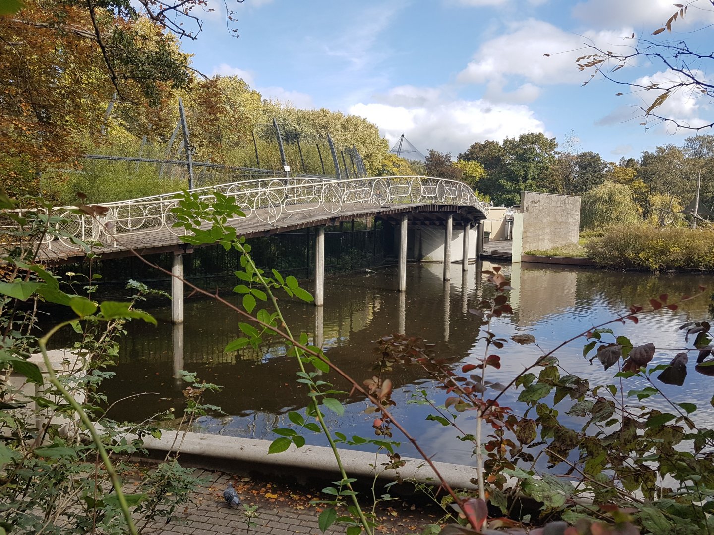 Bridge along Tiger-enclosures