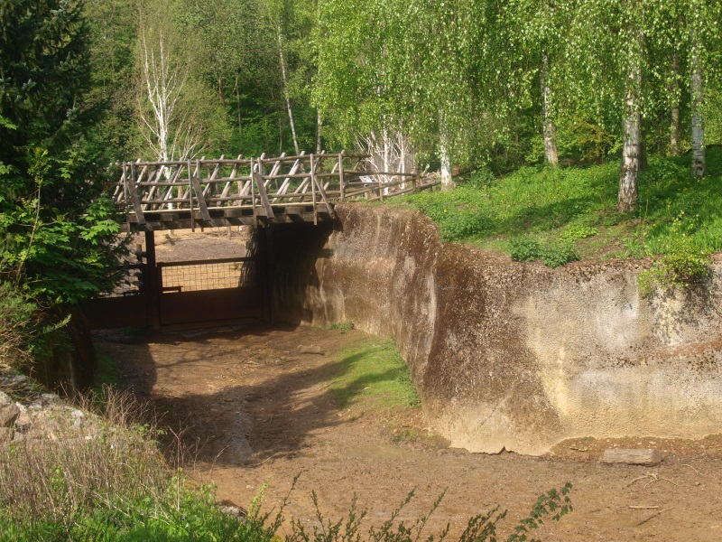Bridge and musk ox gate (May 2nd, 2015)