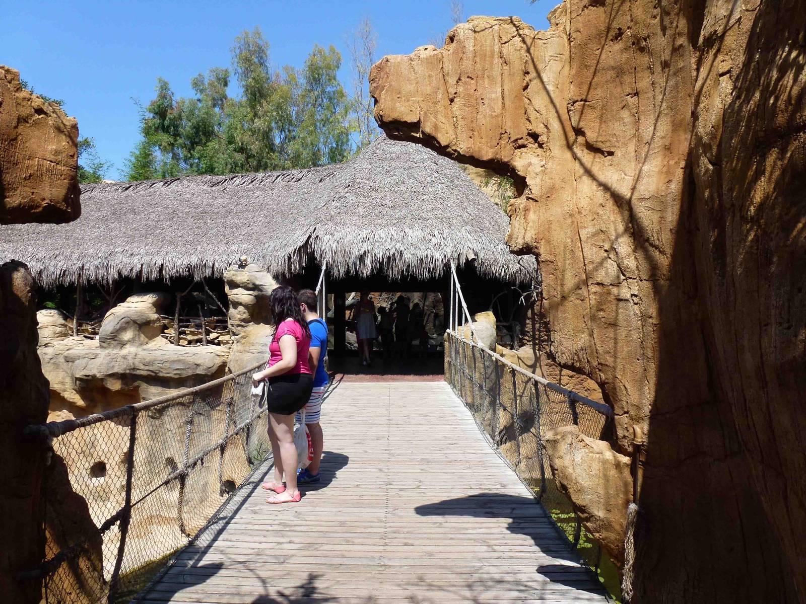 Bridge between ape enclosures, July 2013.