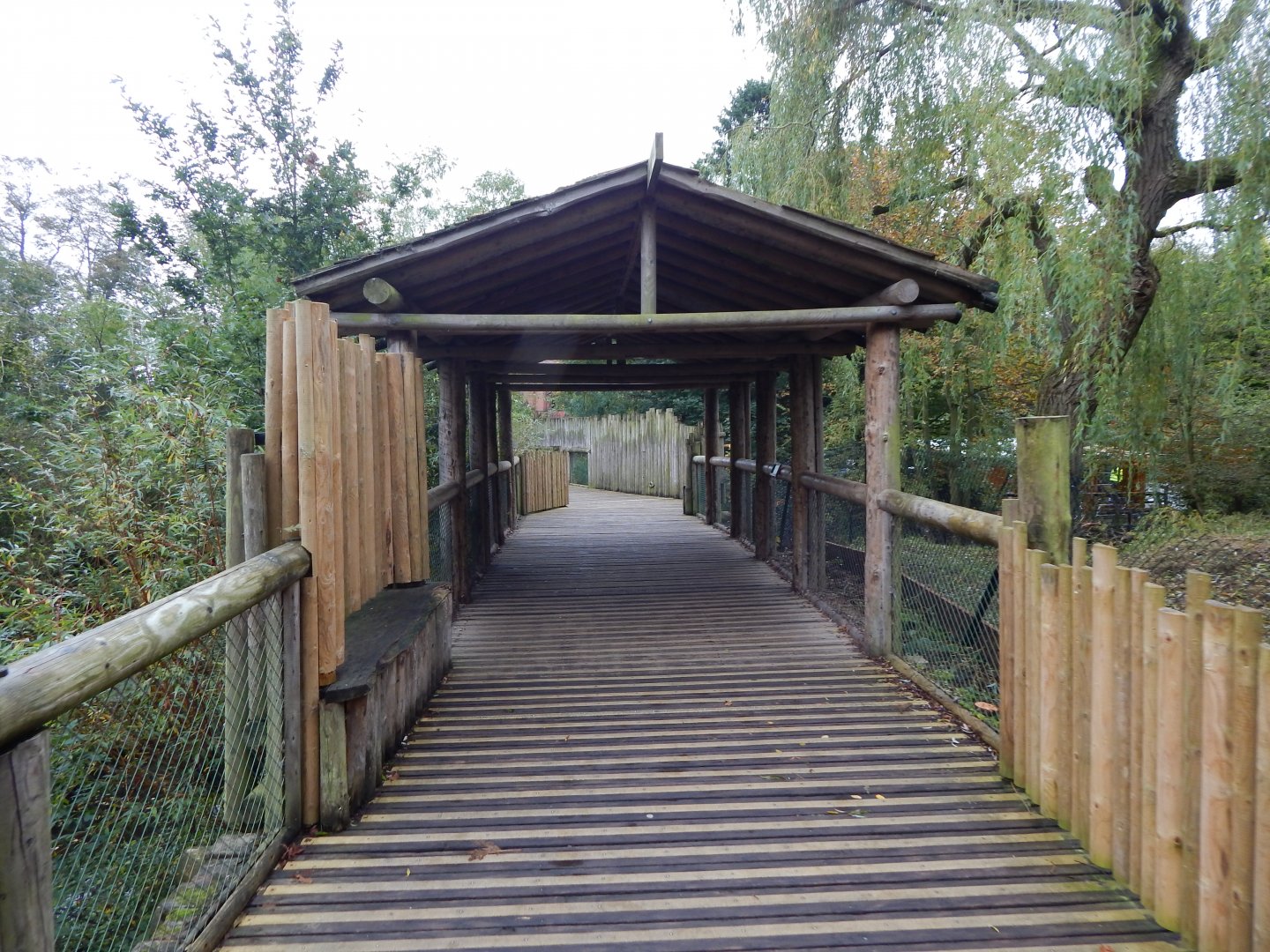 Bridge between areas 181021