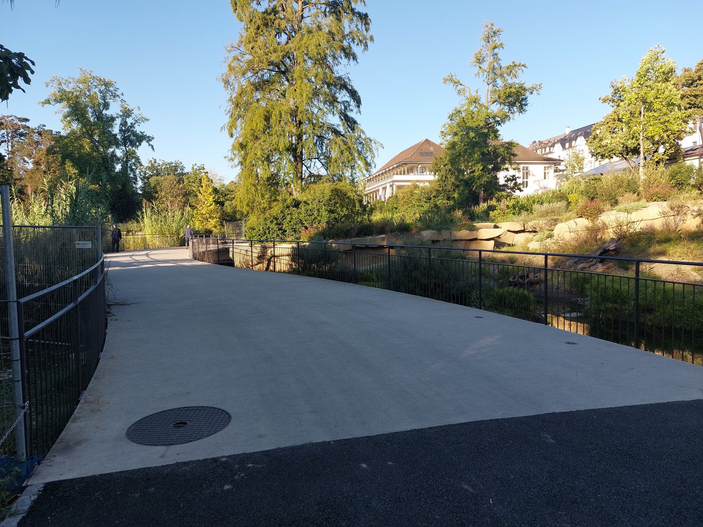 Bridge between otters & pelicans